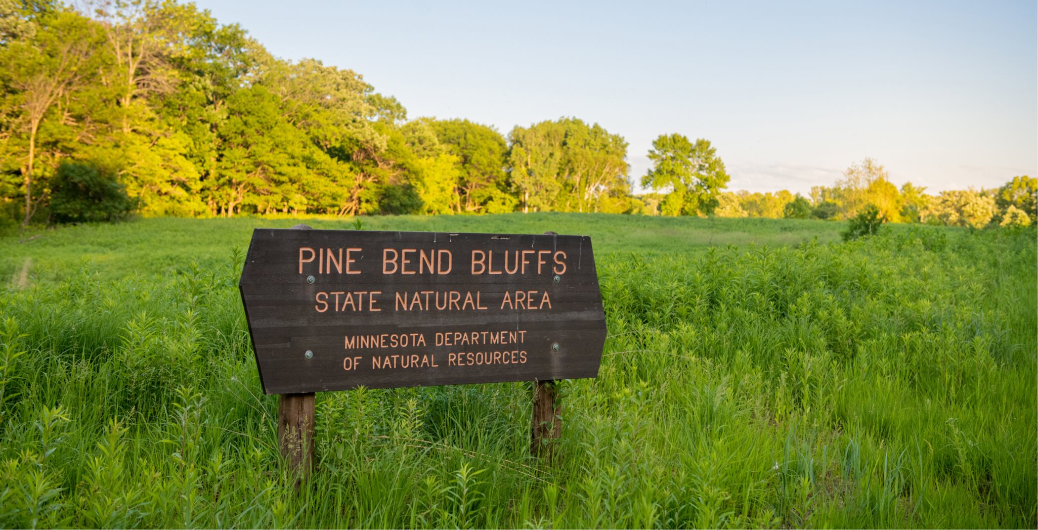 Pine Blend Bluffs
