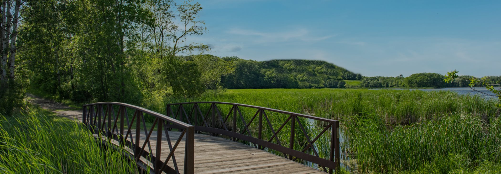 Nature trail with bridge crossing lake
