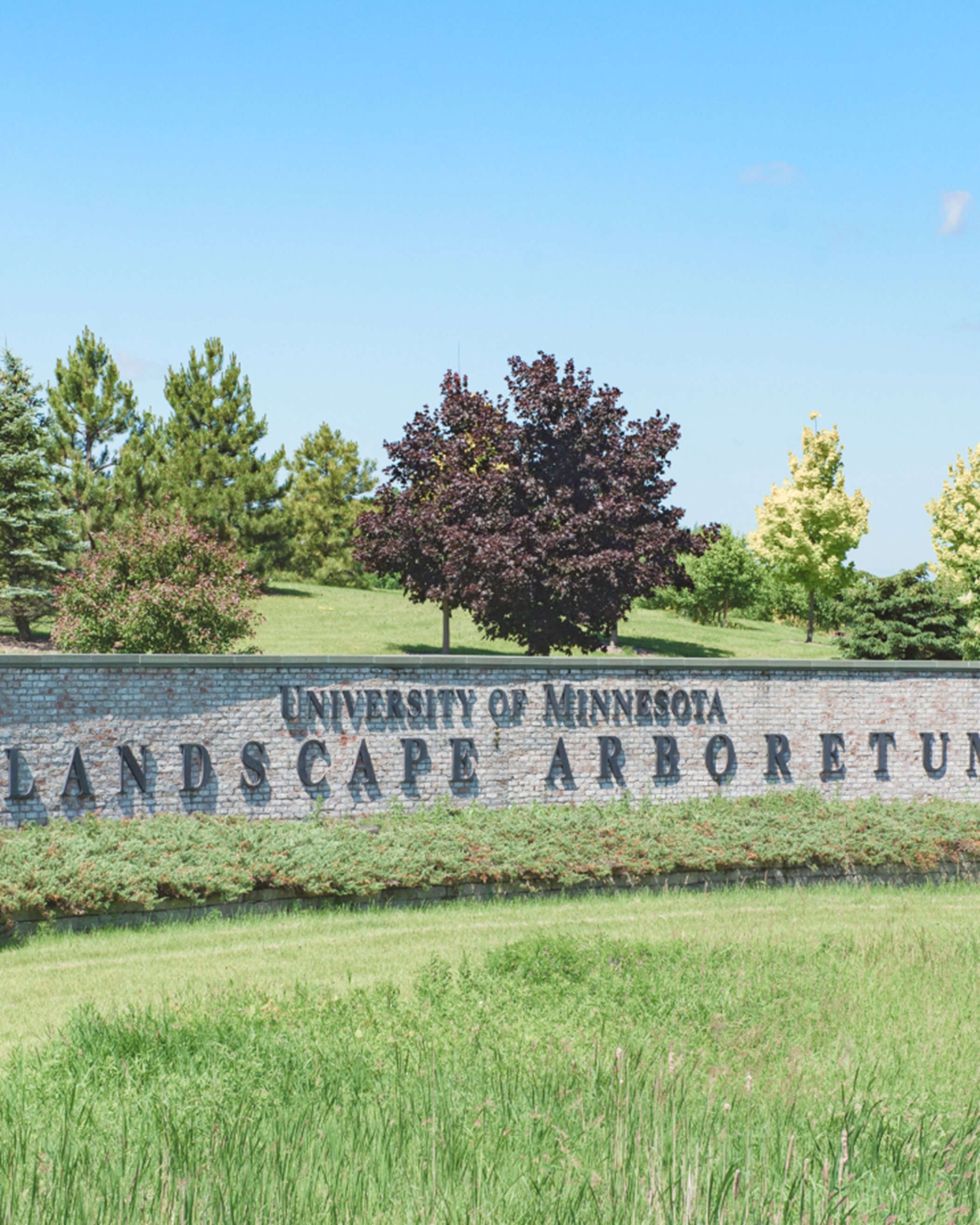 Minnesota Landscape Arboretum 