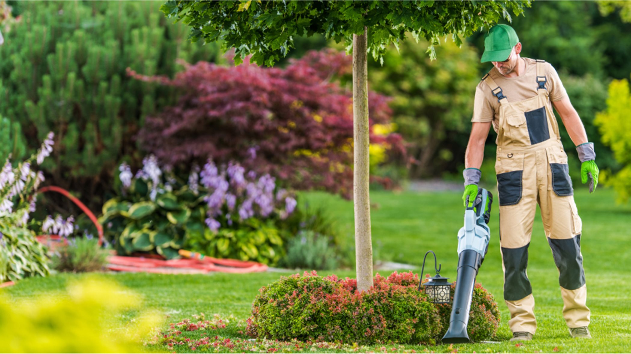 lawn maintenance services at Tanglewood