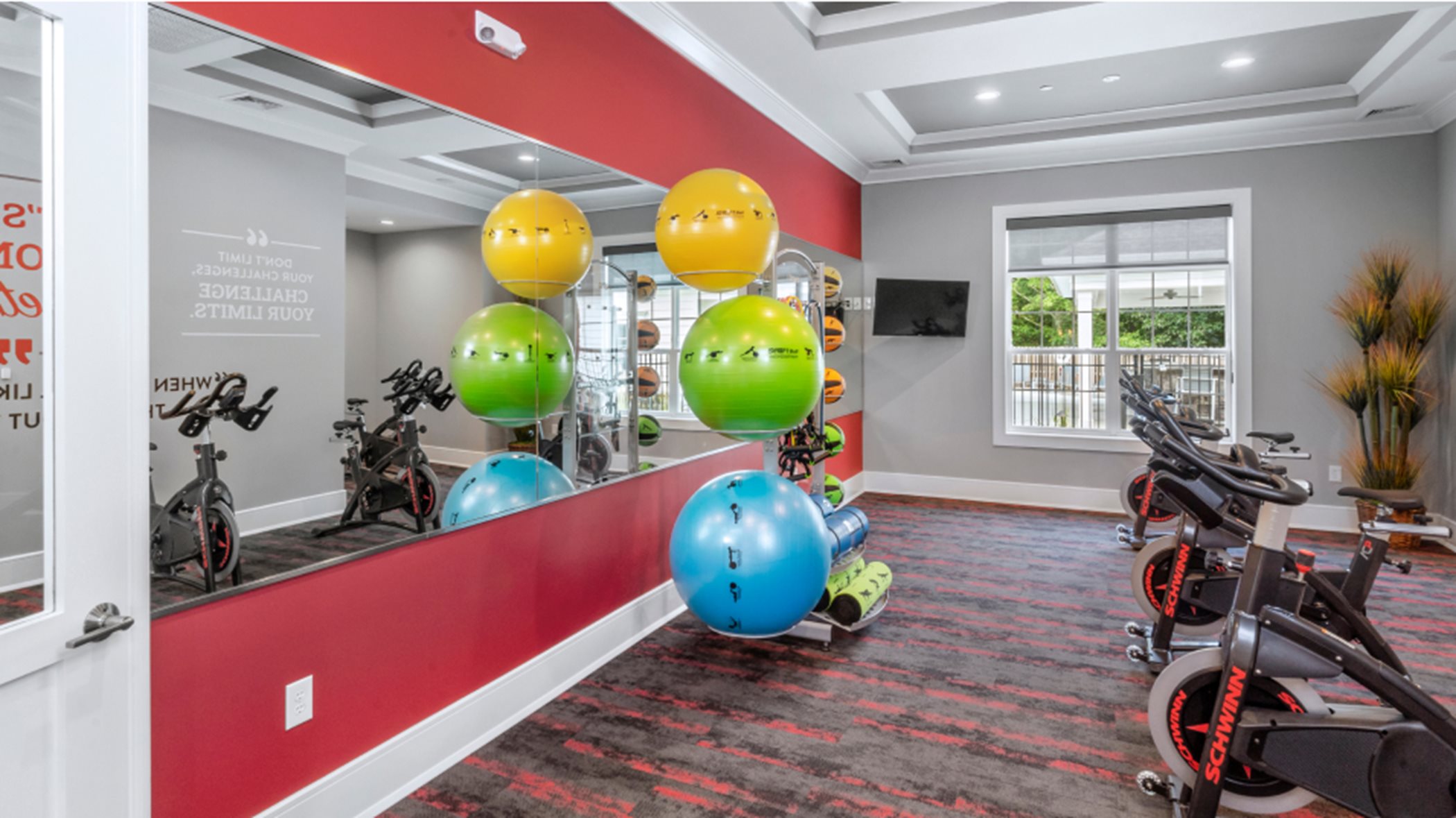 Aerobics room with stationary bikes and exercise balls