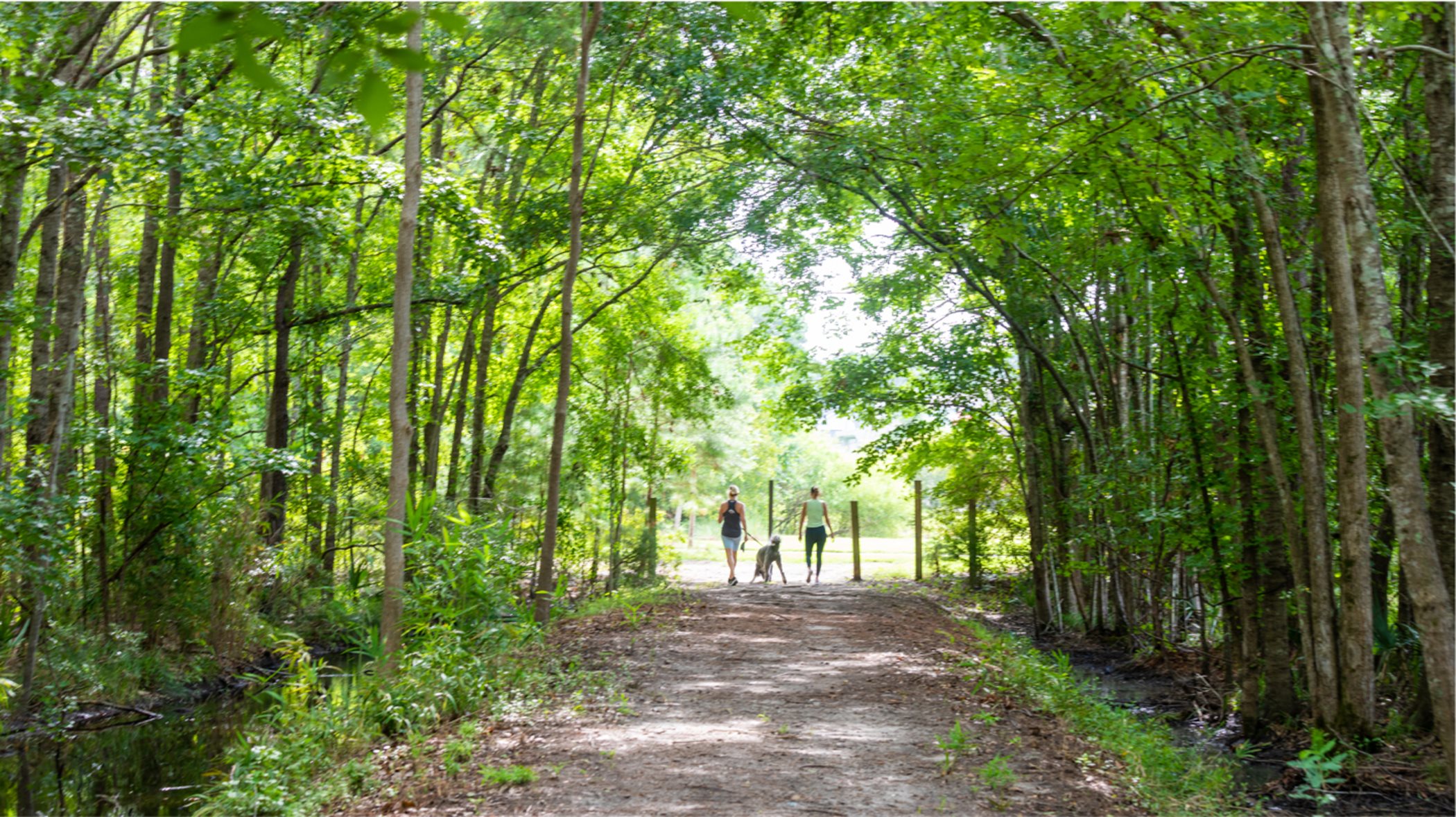 Carolina Park walking trails