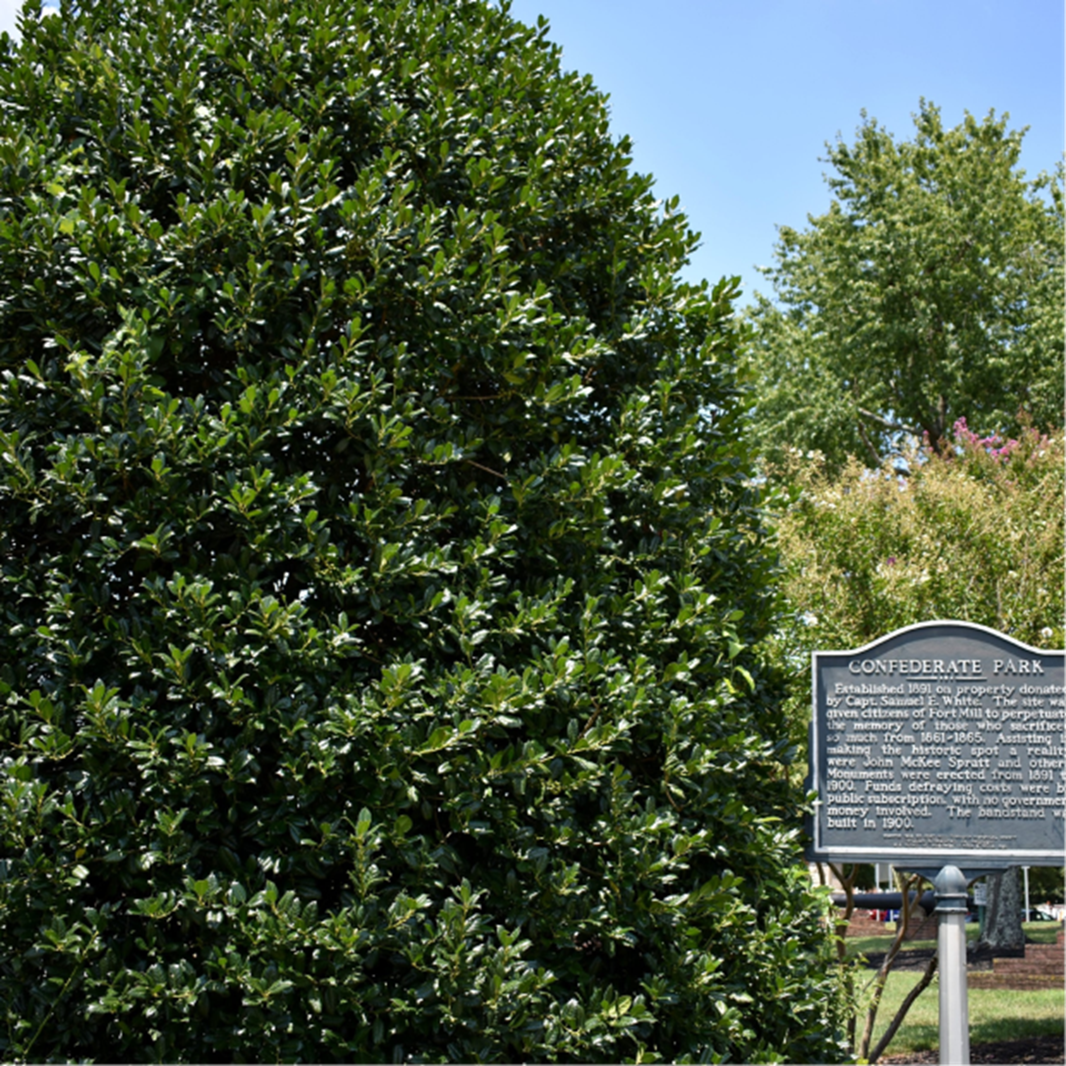Confederate park sign