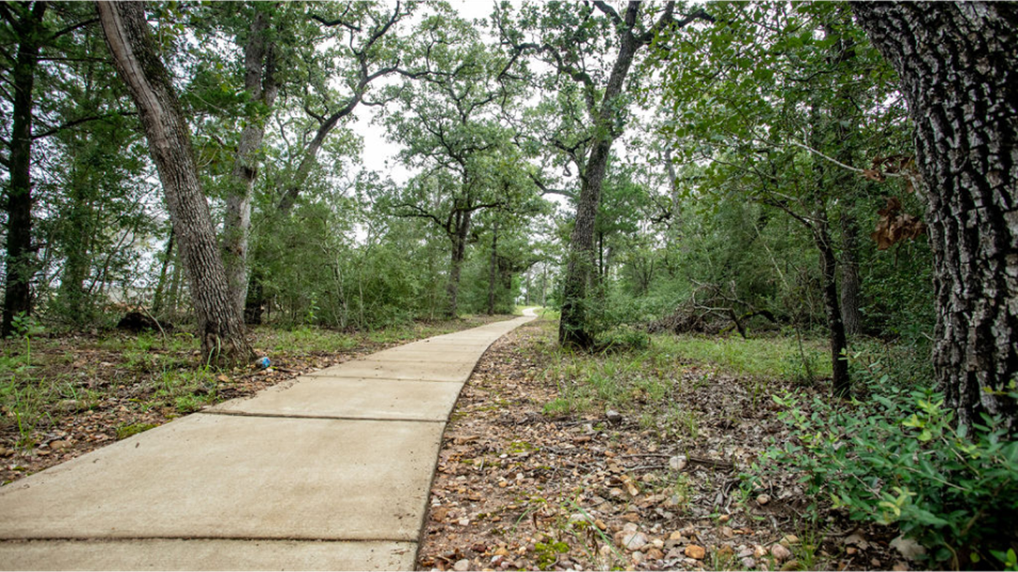 The Colony Walking Trail