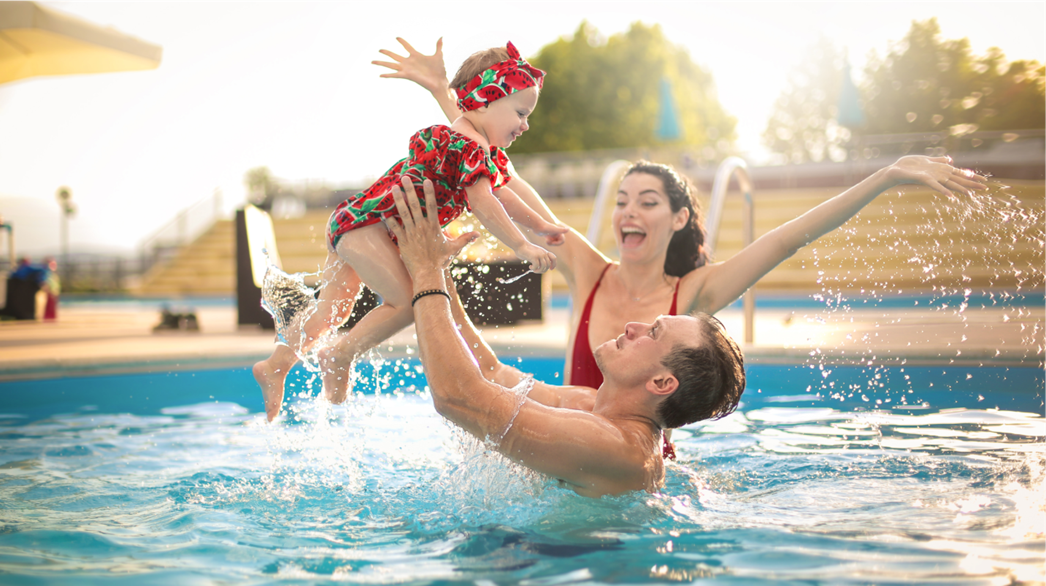 Stock pool image with family 
