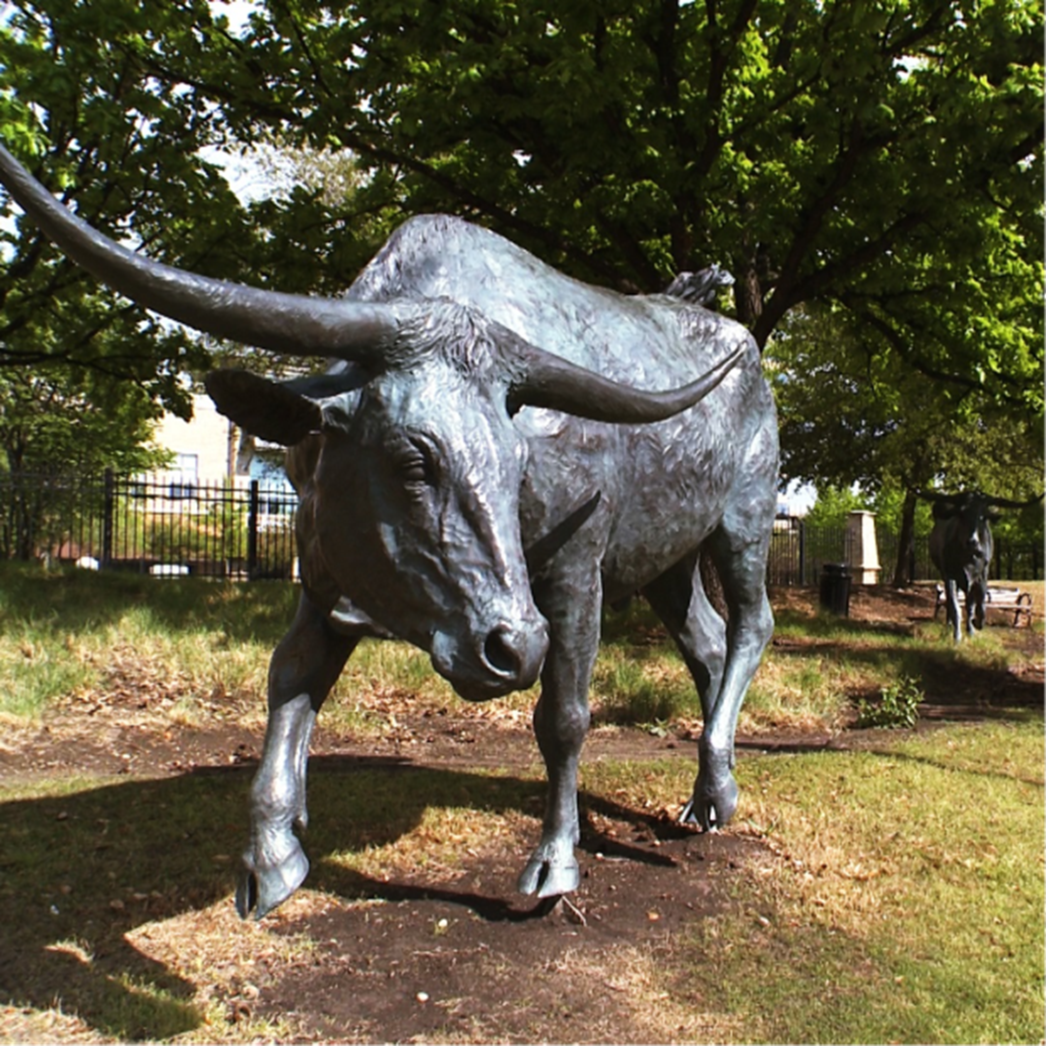 Cattle sculpture