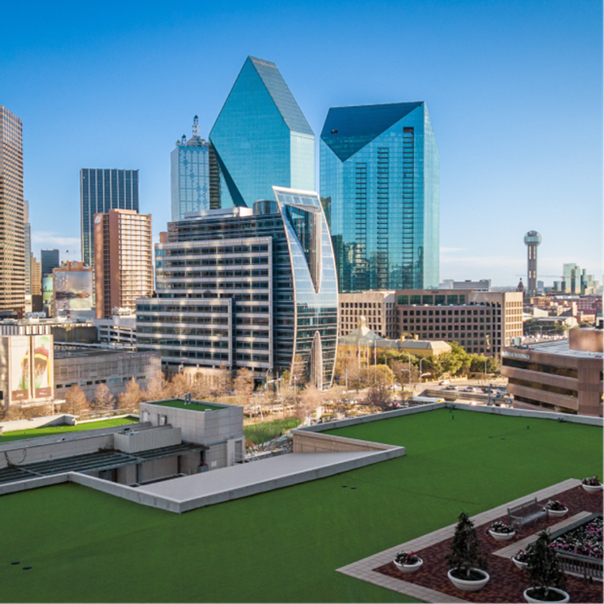 Downtown Dallas showing park and skyline