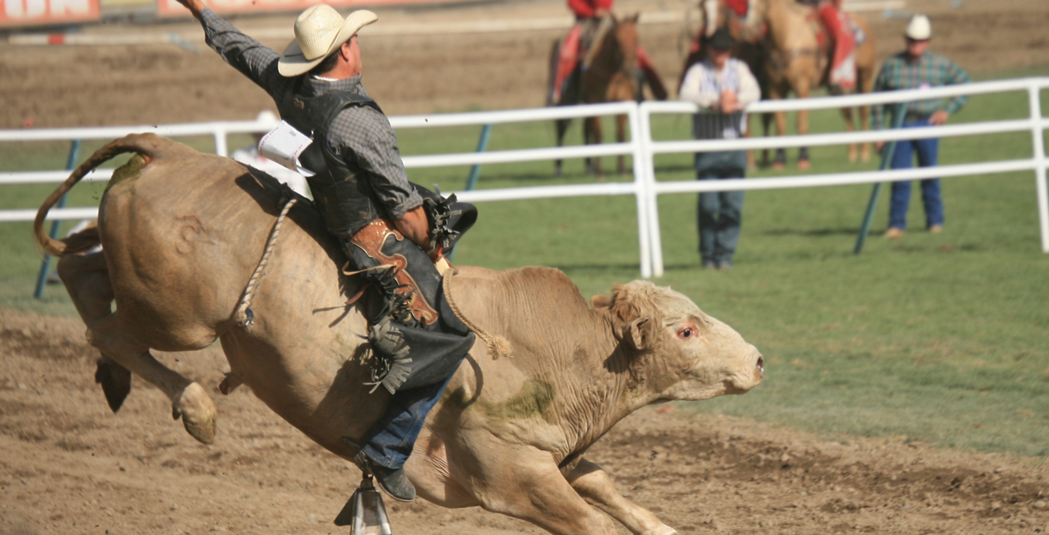 Local Rodeo 