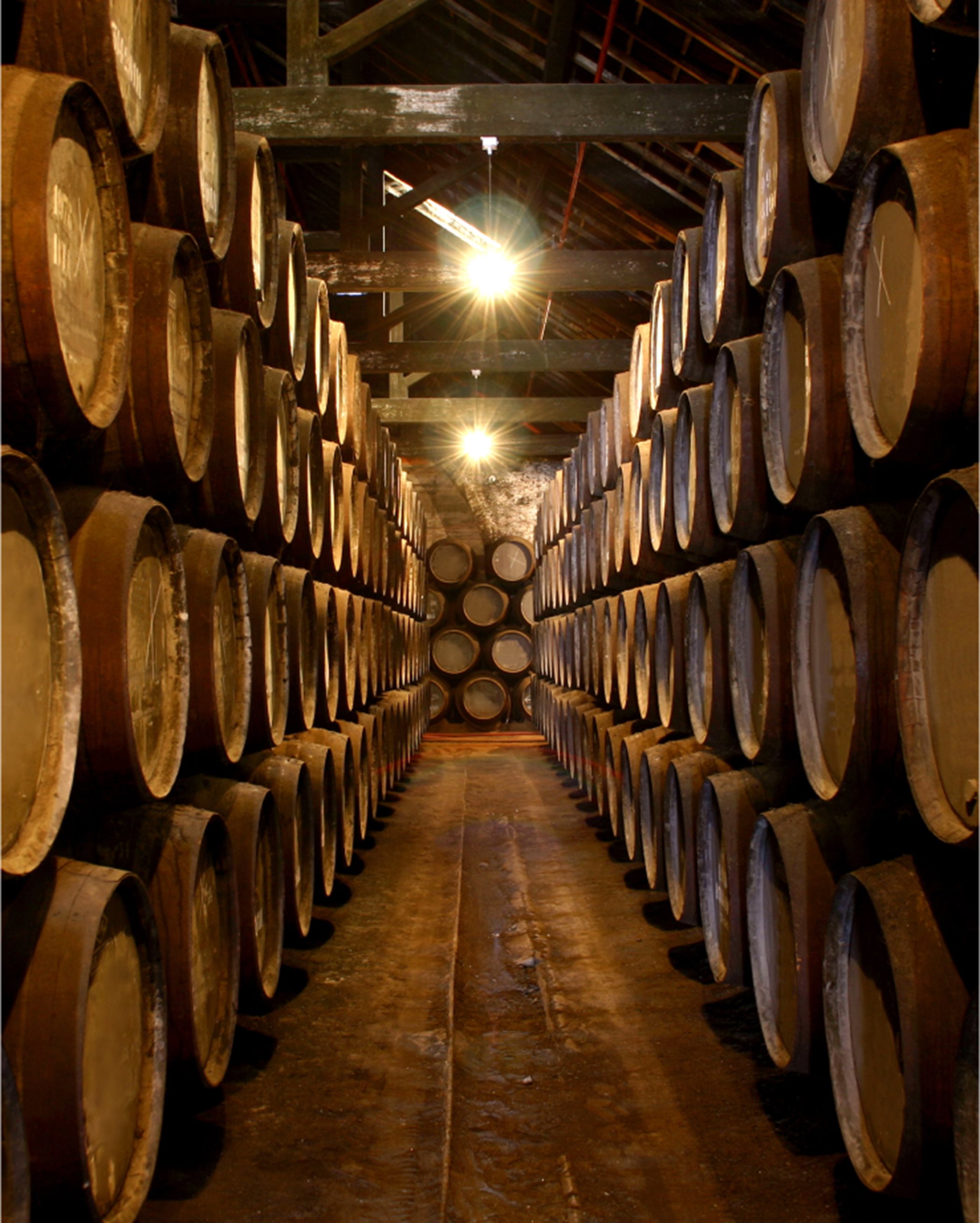 Barrel Room in a Winery