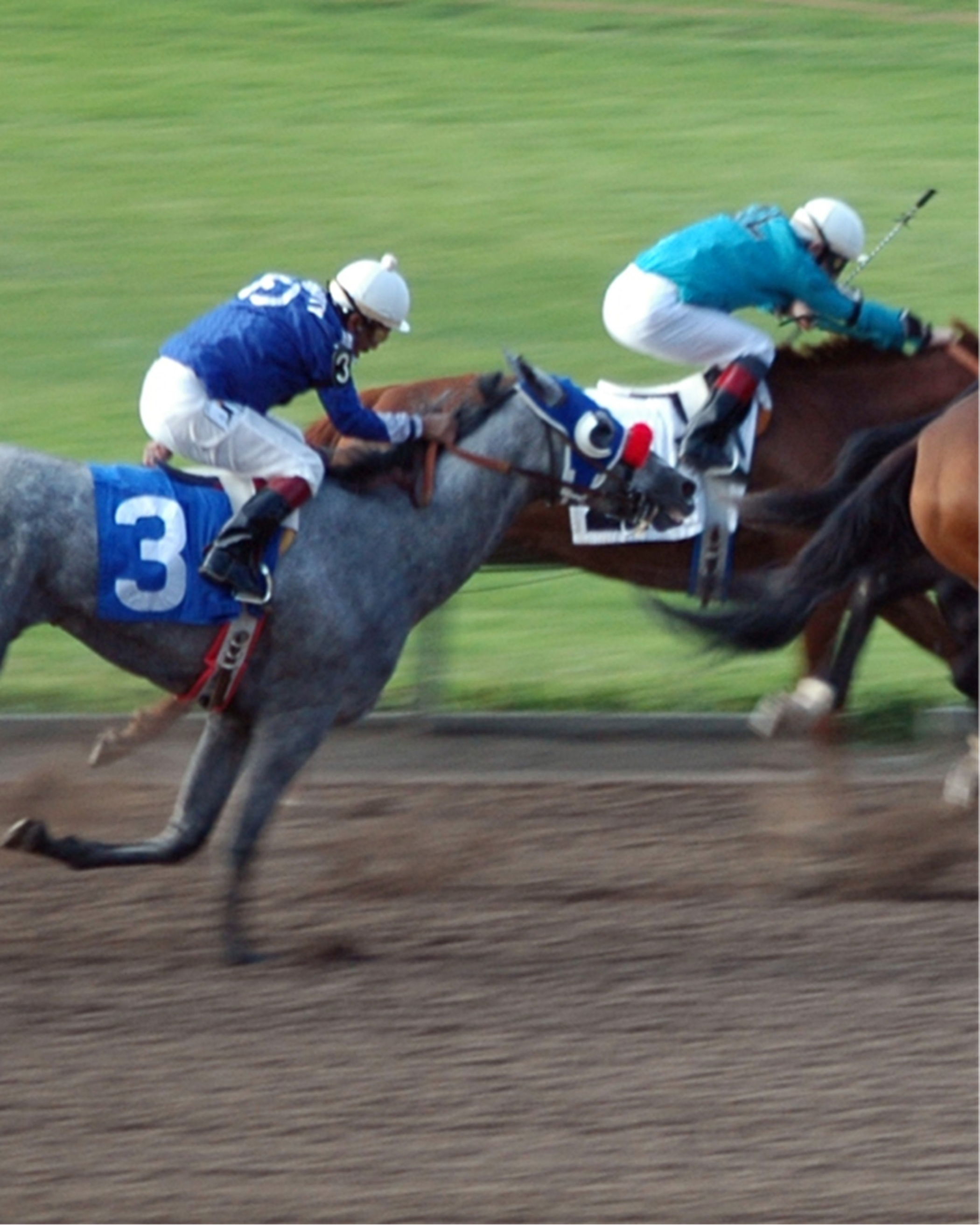 Stock image of horse racing