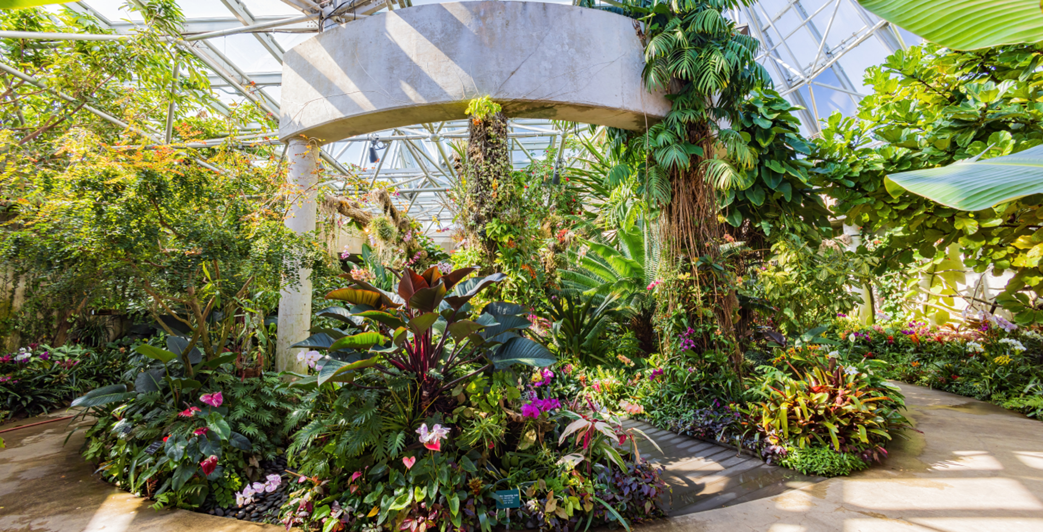 Visit botanical gardens in San Antonio