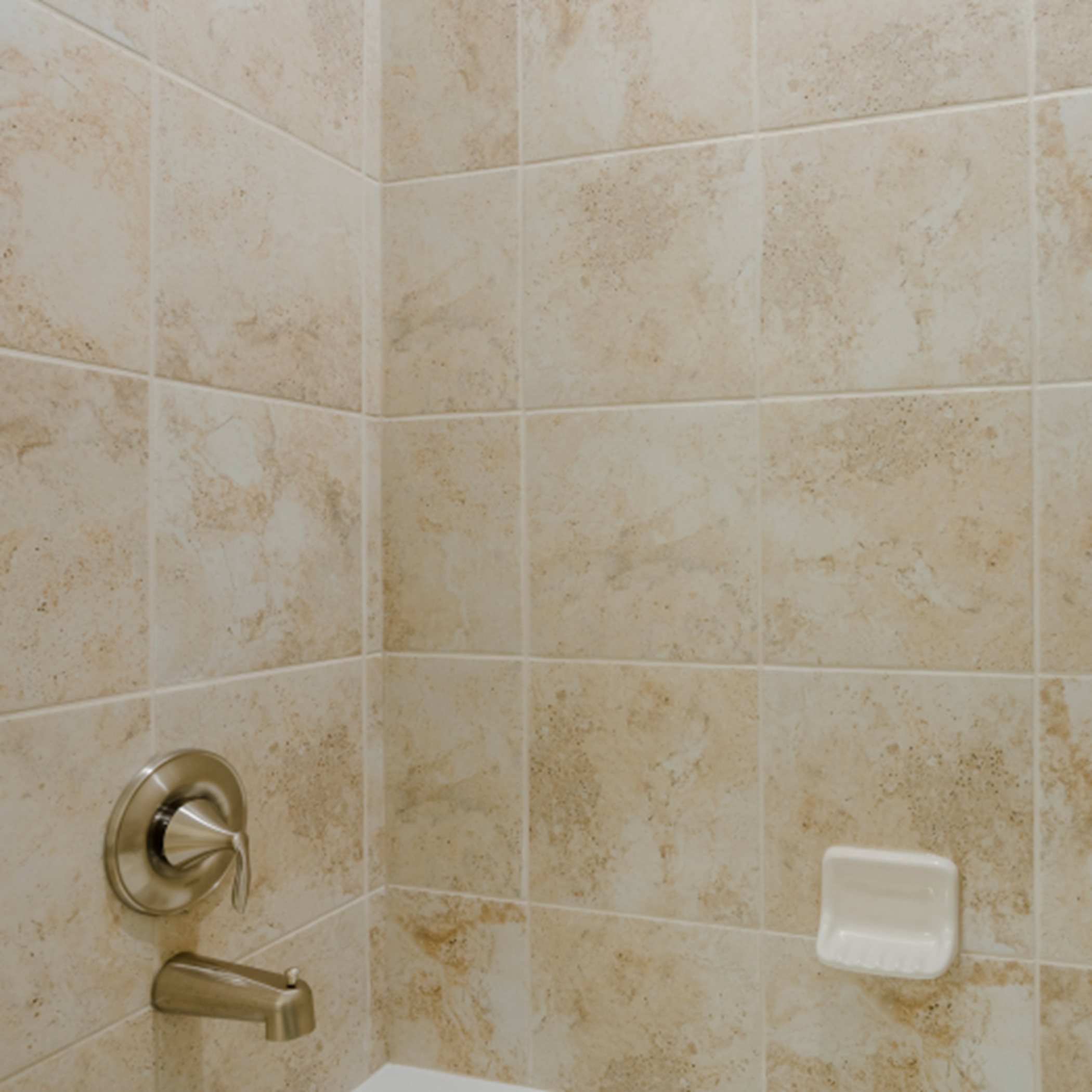 Chesapeake Owners Bathroom Shower
