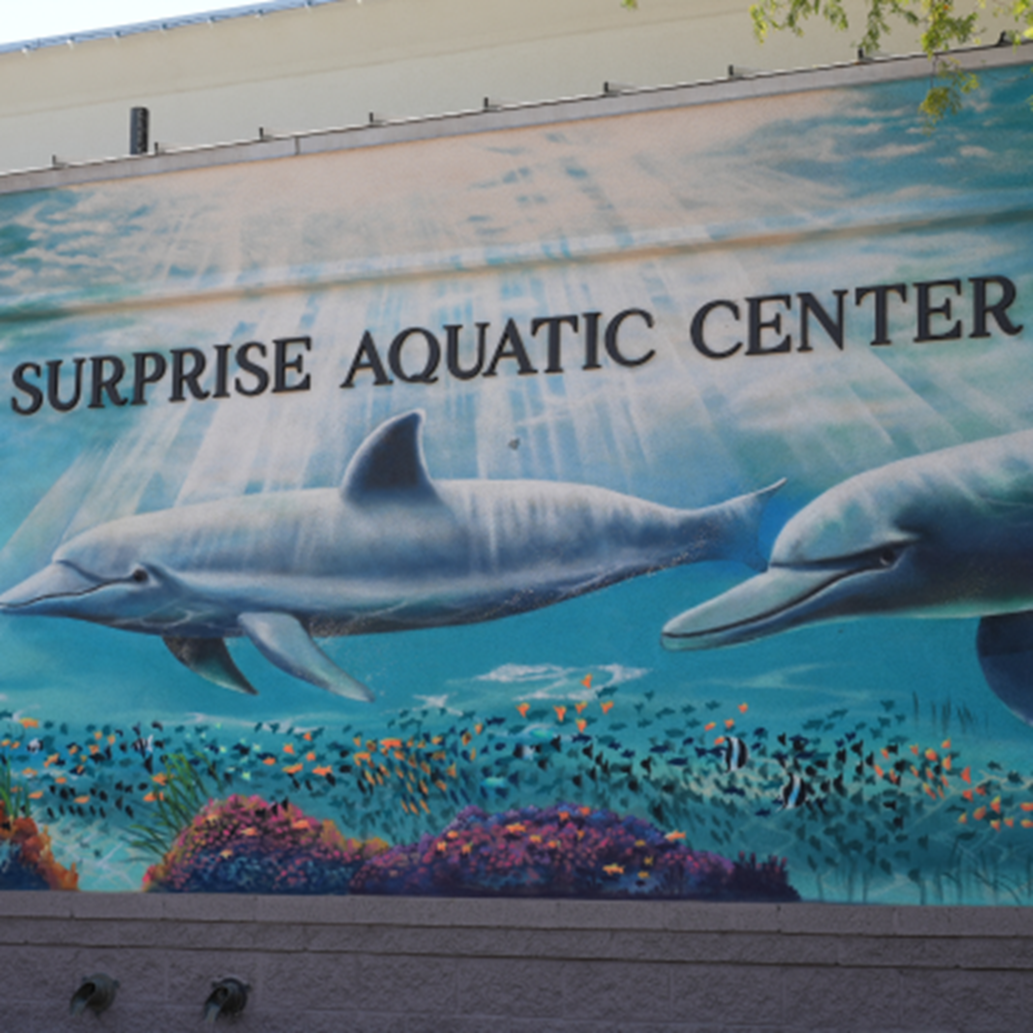 Surprise Aquatic Center mural of dolphins