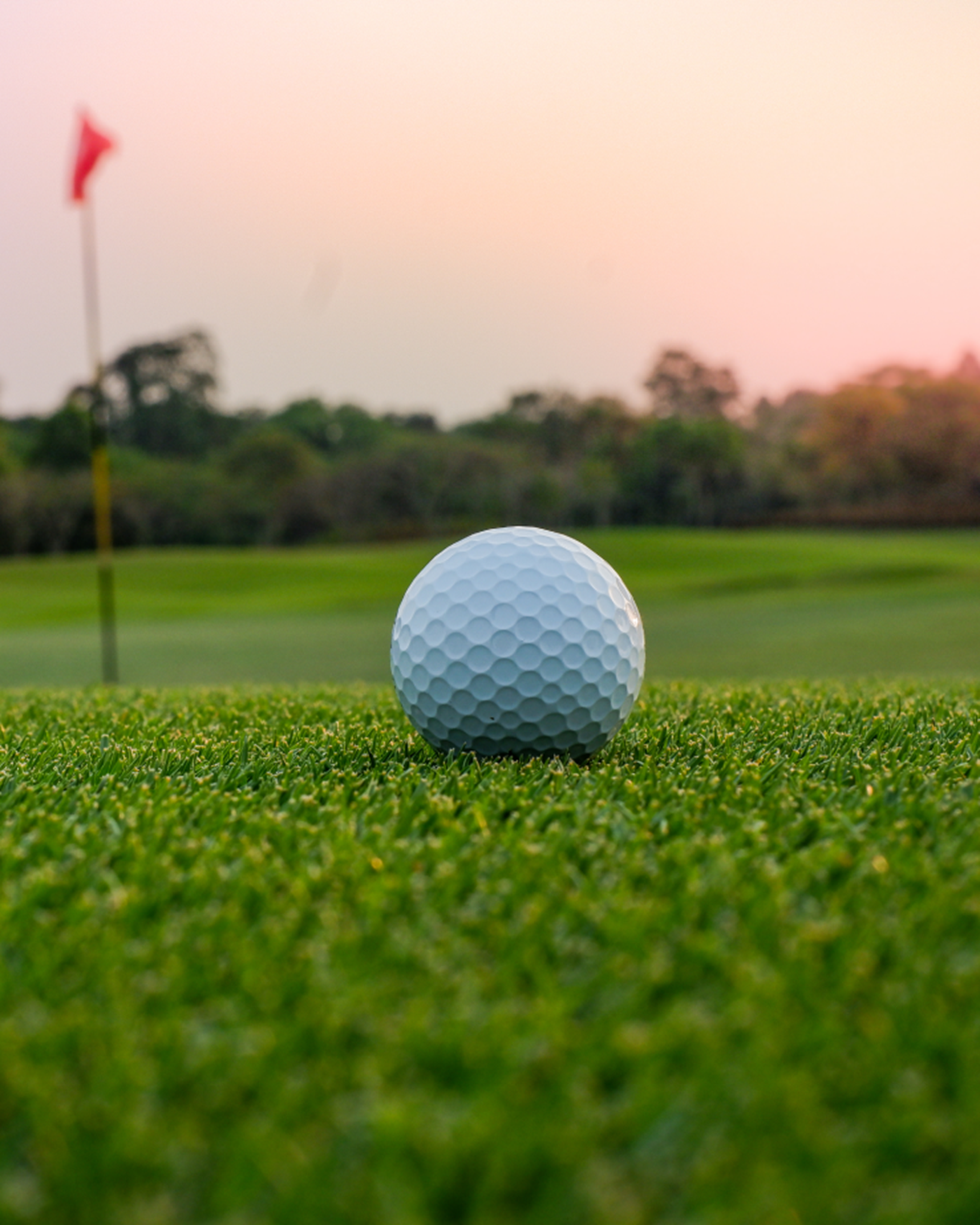 Golf ball on a course
