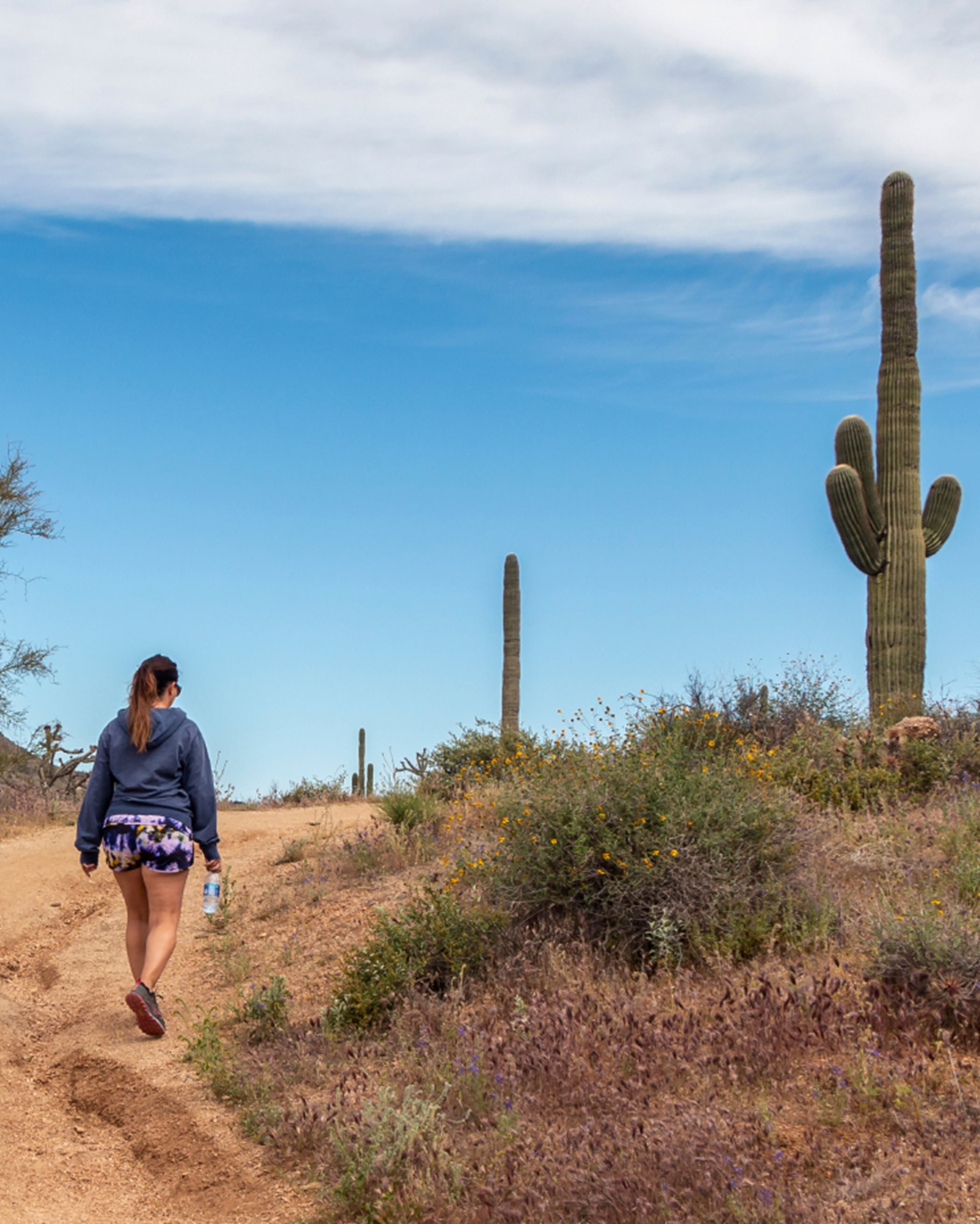 Woman hiking on desert path with cacti