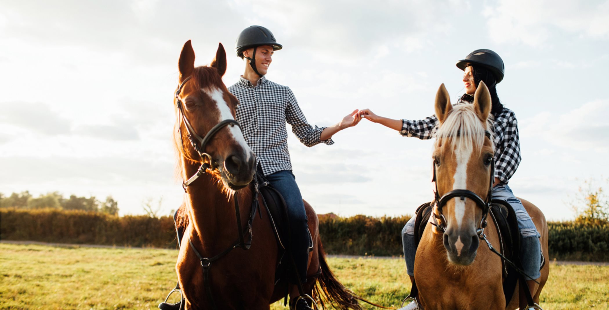 Two people holding hands while riding horses