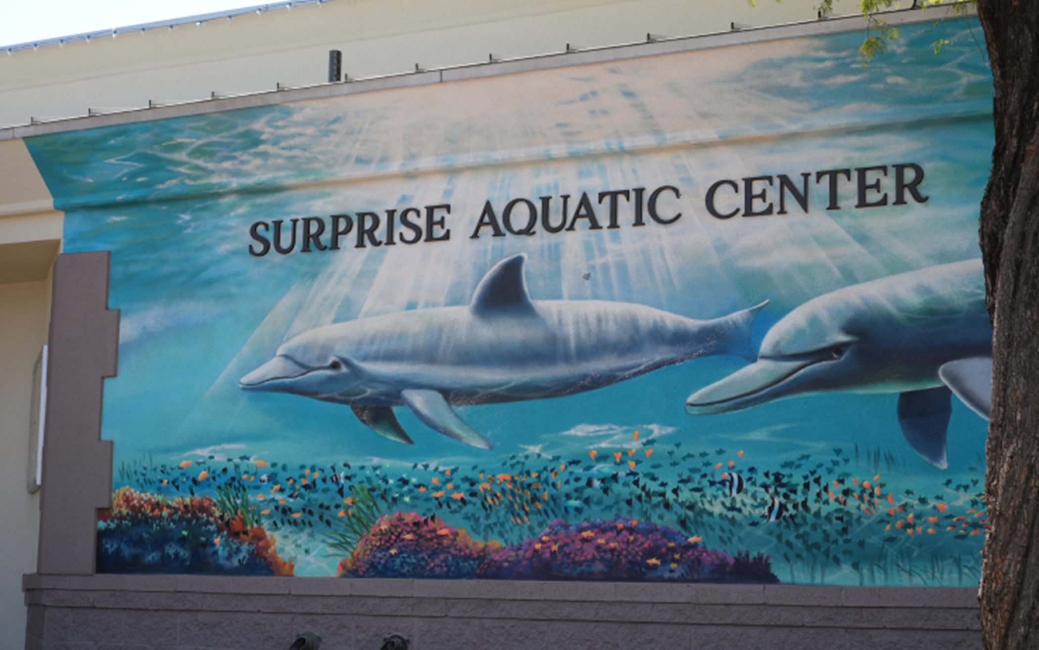 Surprise Aquatic Center mural of dolphins