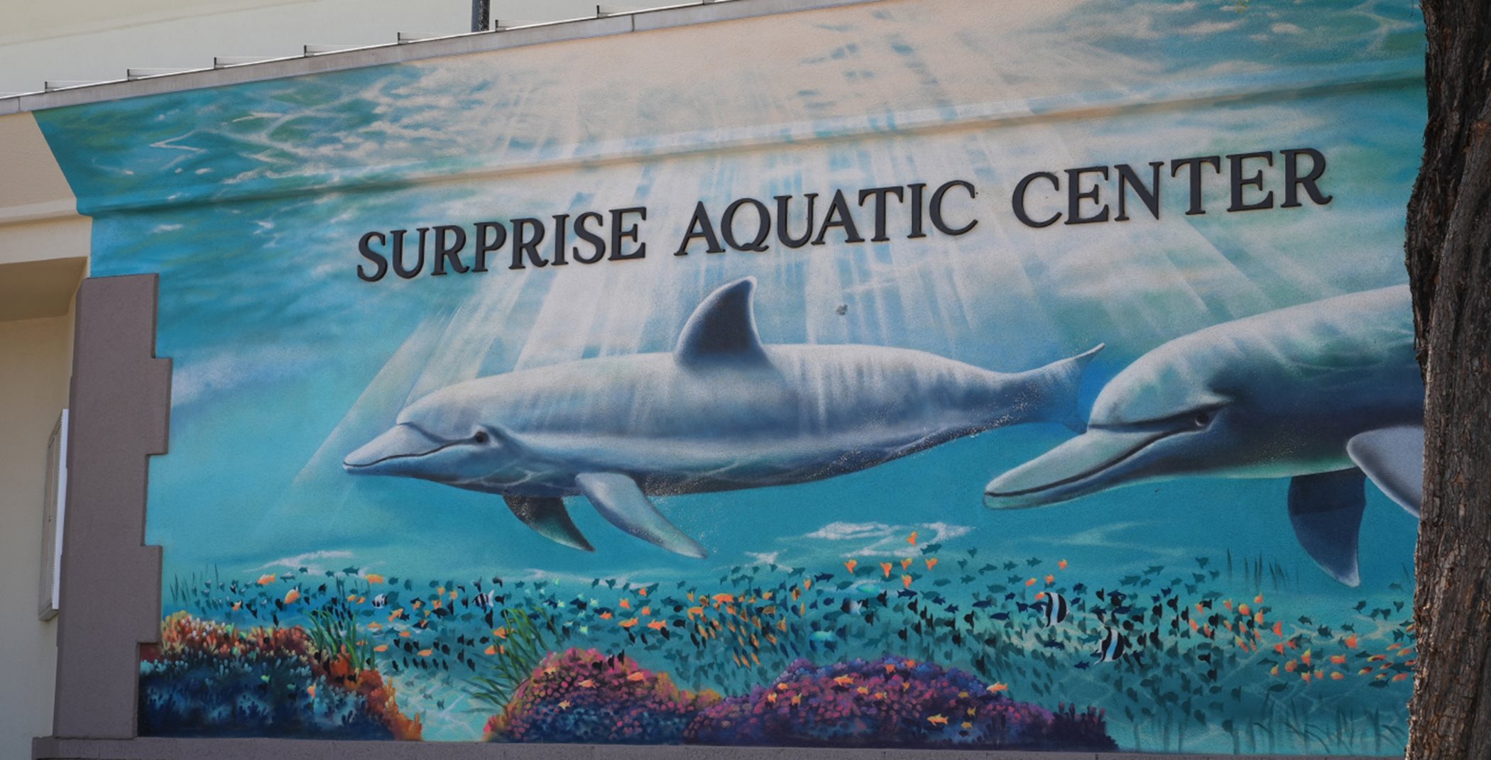 Dolphin mural on the Surprise Aquatic Center