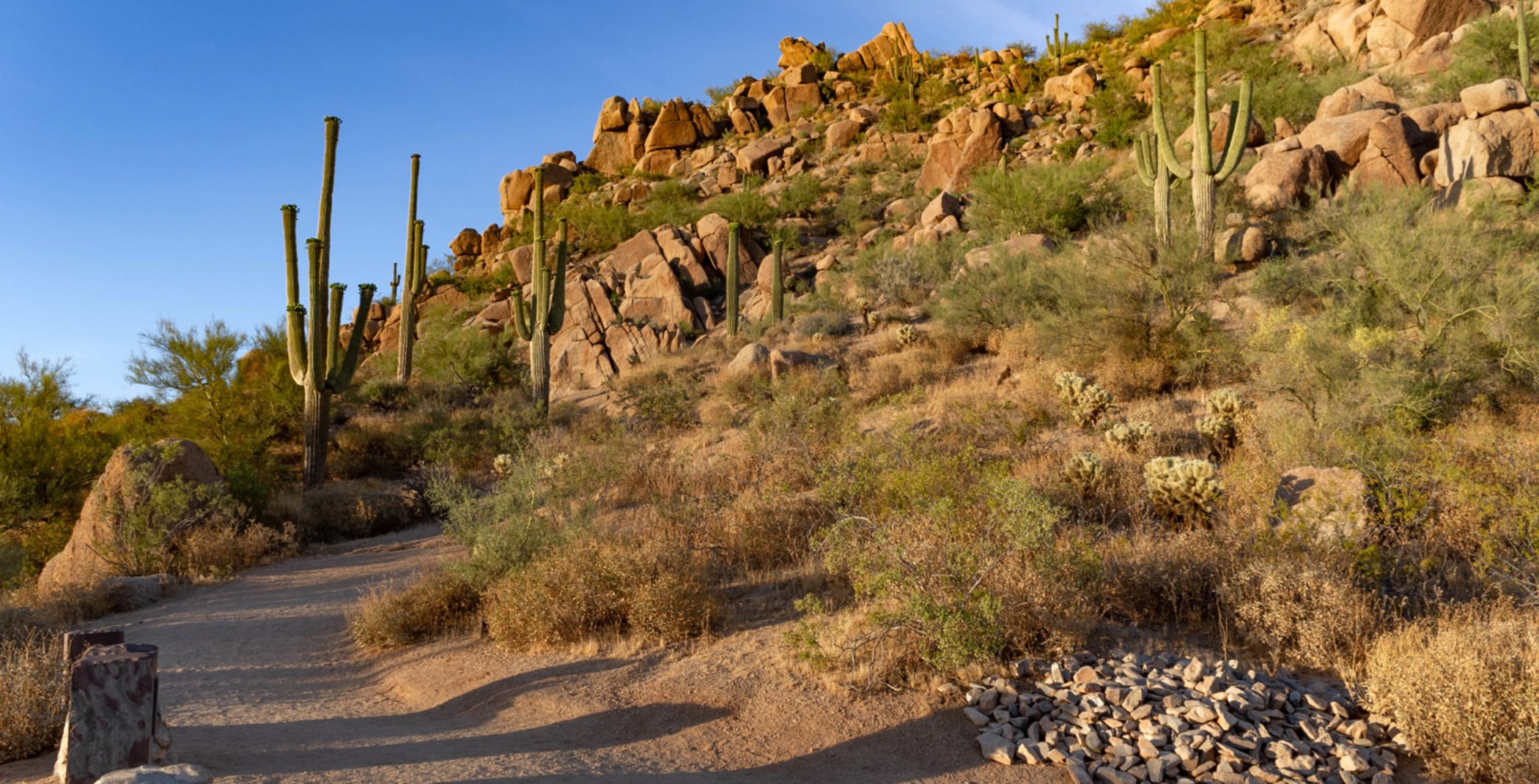 Desert hiking trail in daylight