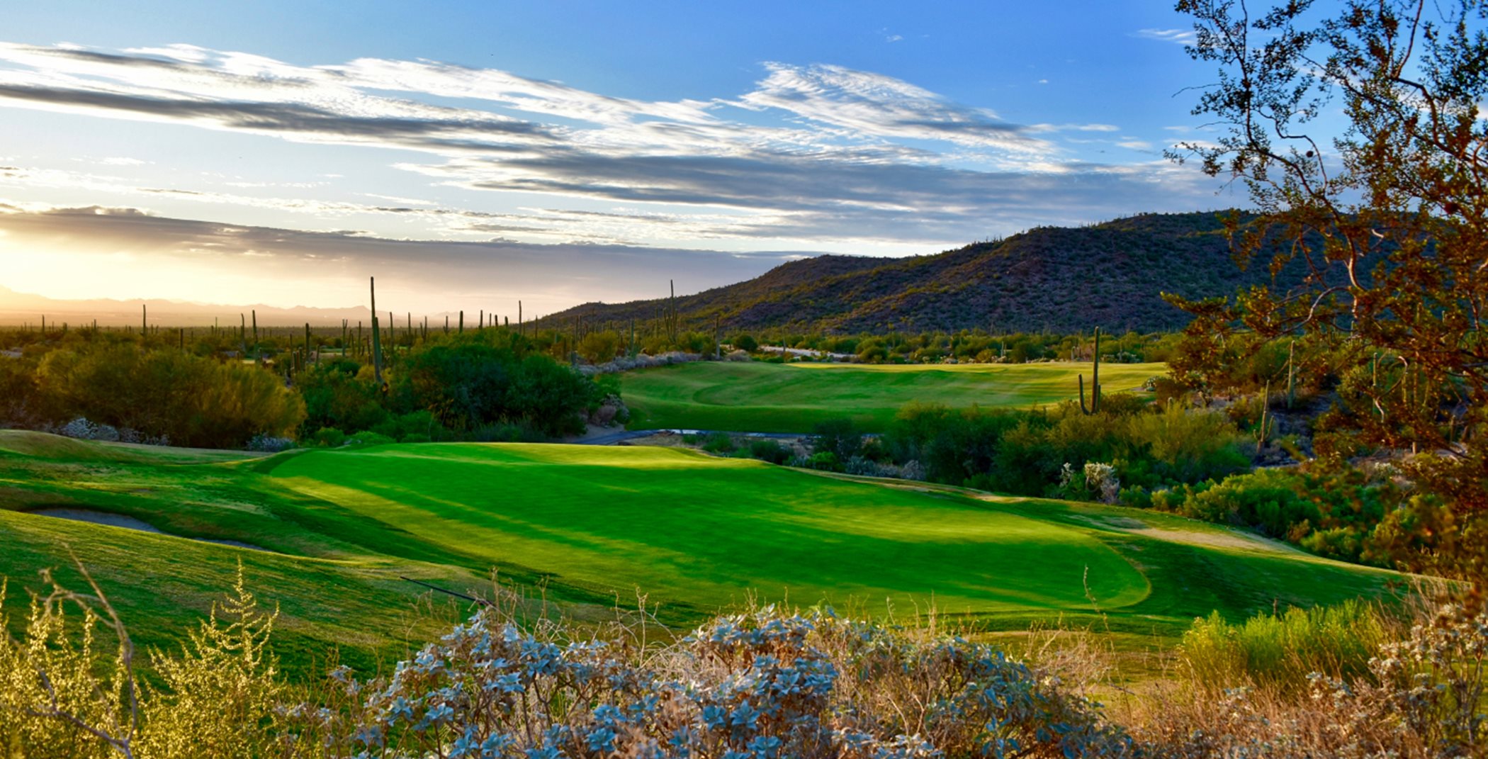 Vibrant desert golf course at sunset