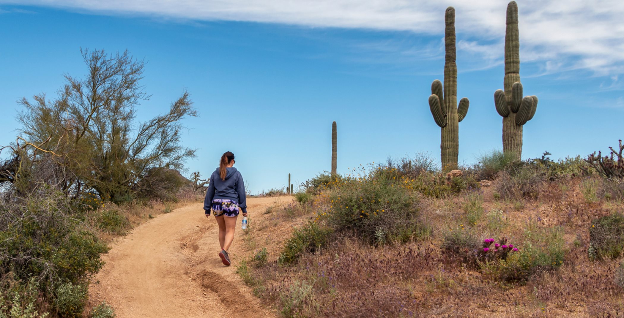 Woman hiking a desert trail surrounded by cacti