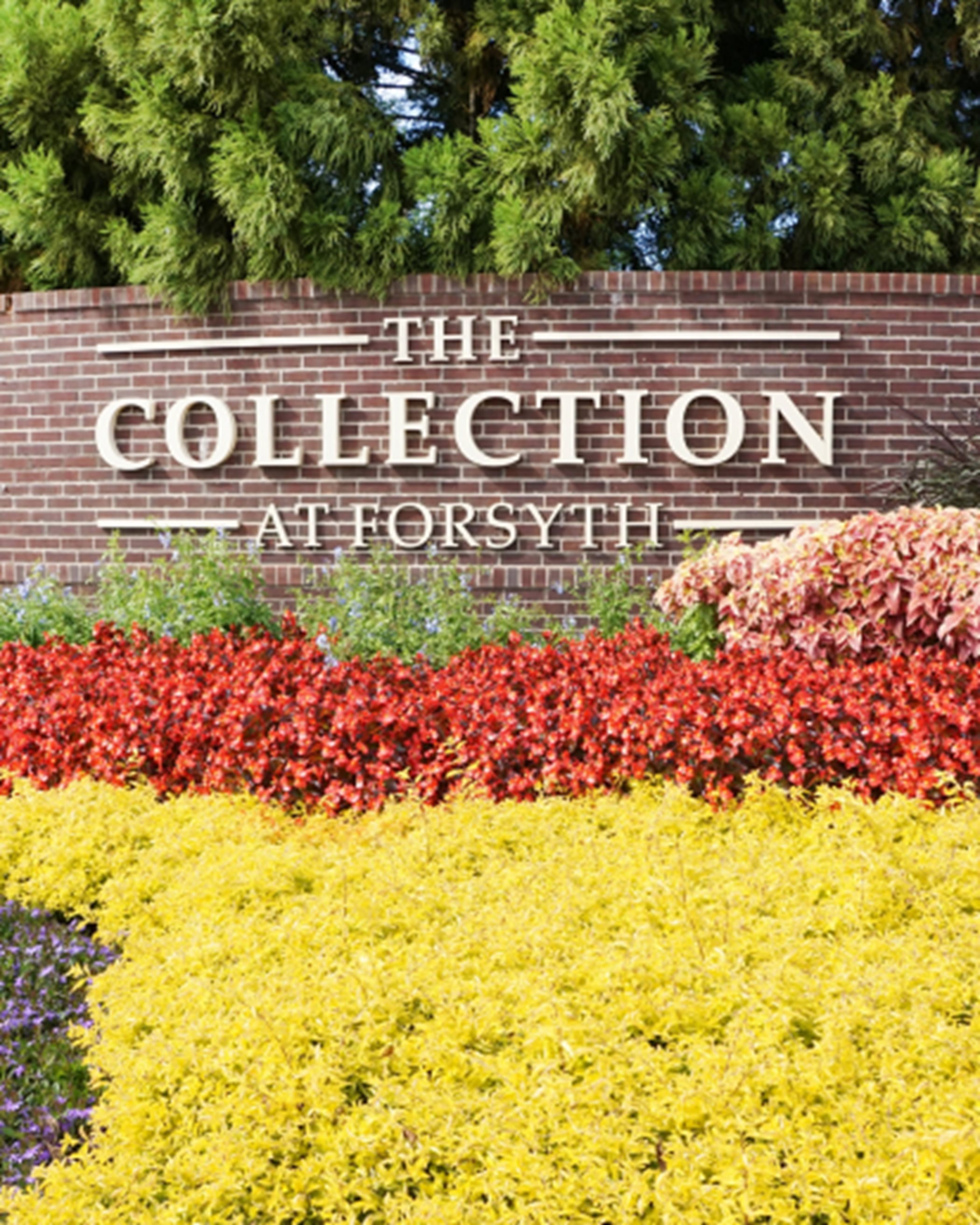 The Collection at Forsyth Entrance
