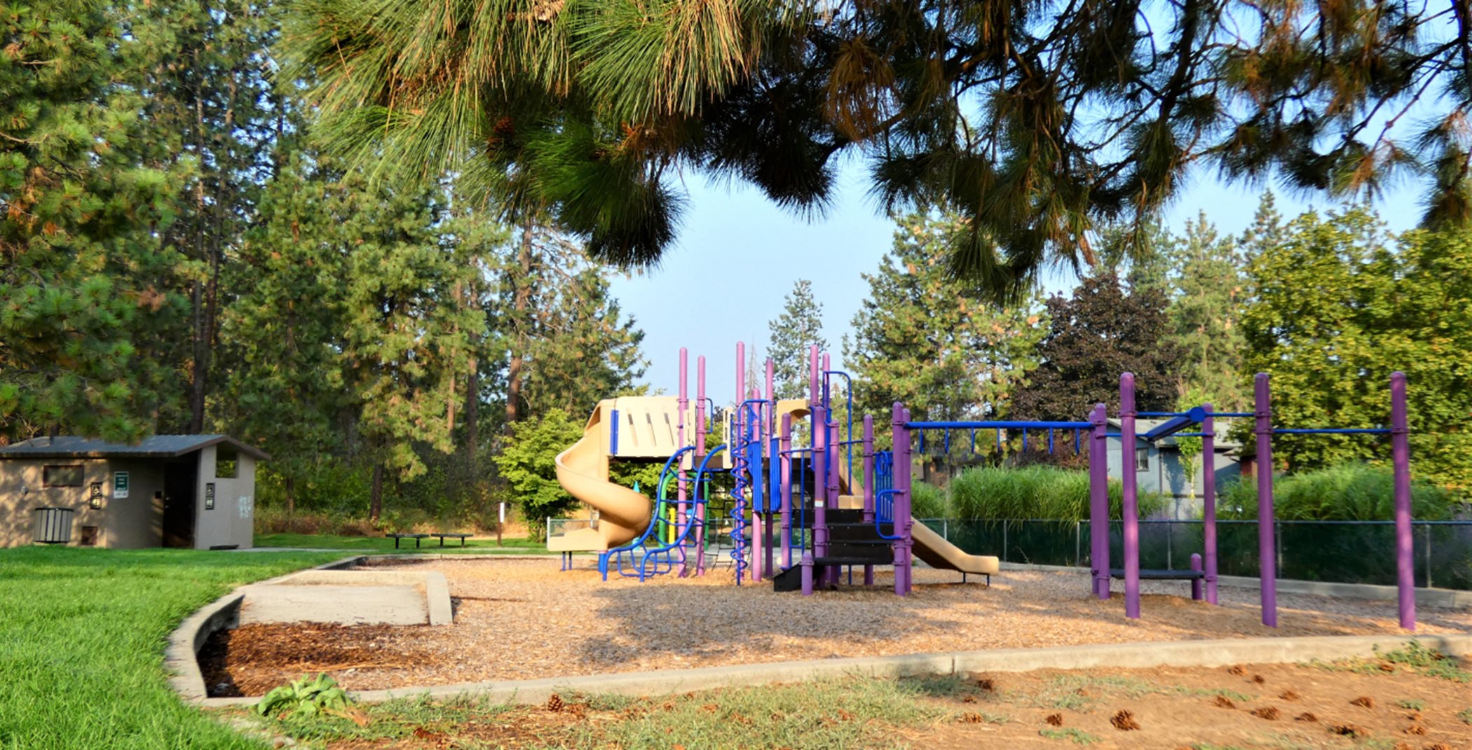 playground with jungle gym