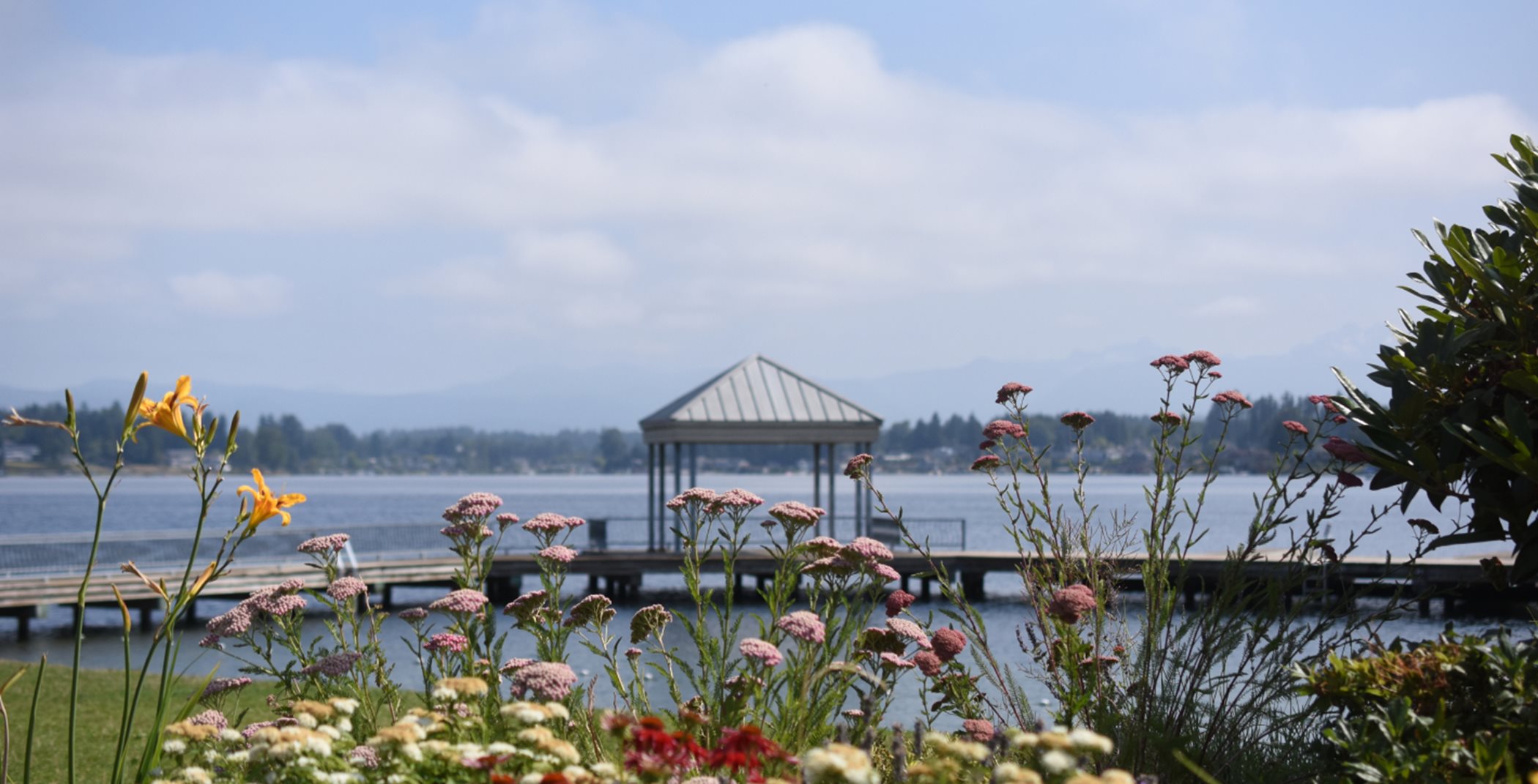 Flowers and a dock at Lake Stevens Park