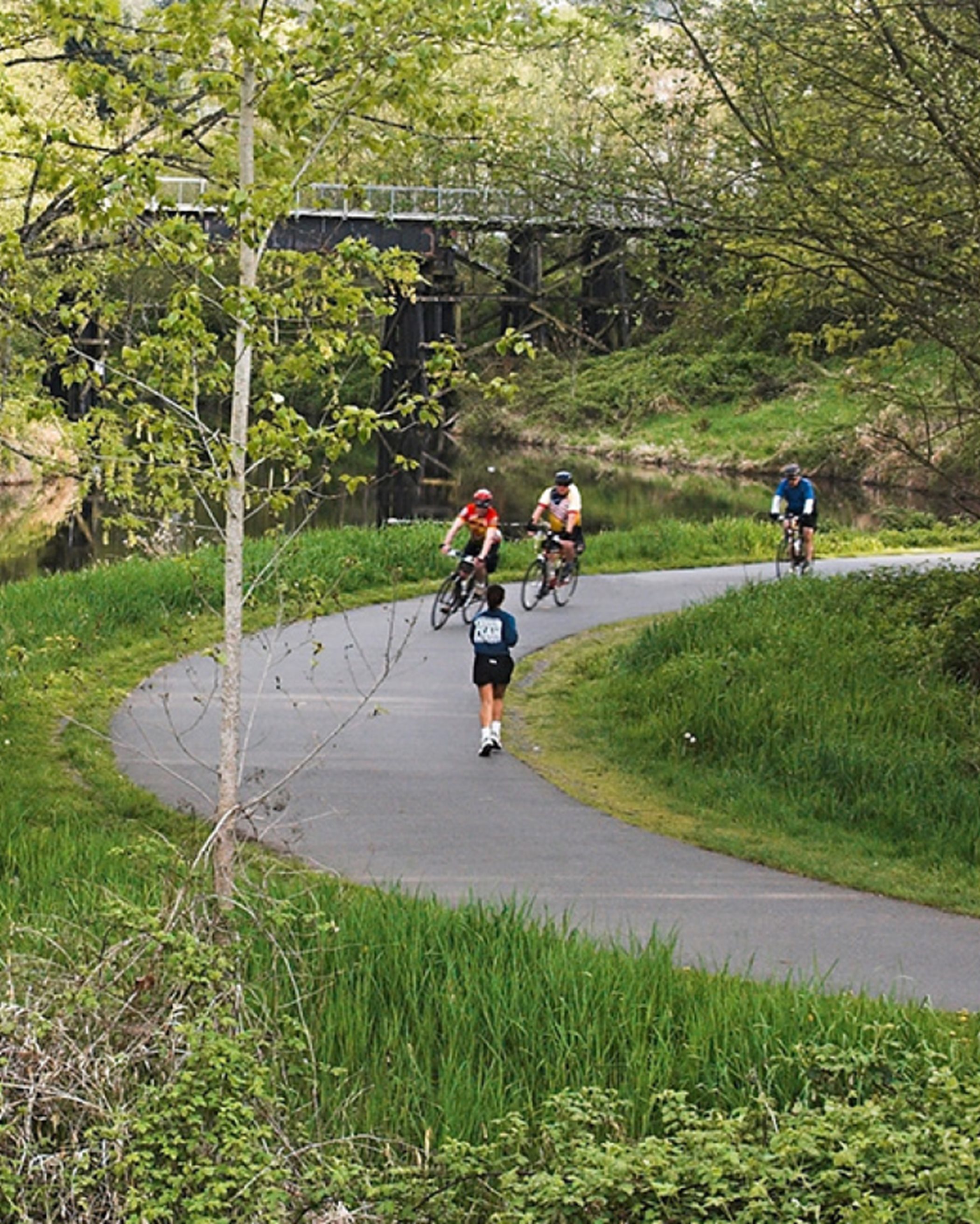 A bike trail with three cyclists and a runner, all surrounded by lush greenery