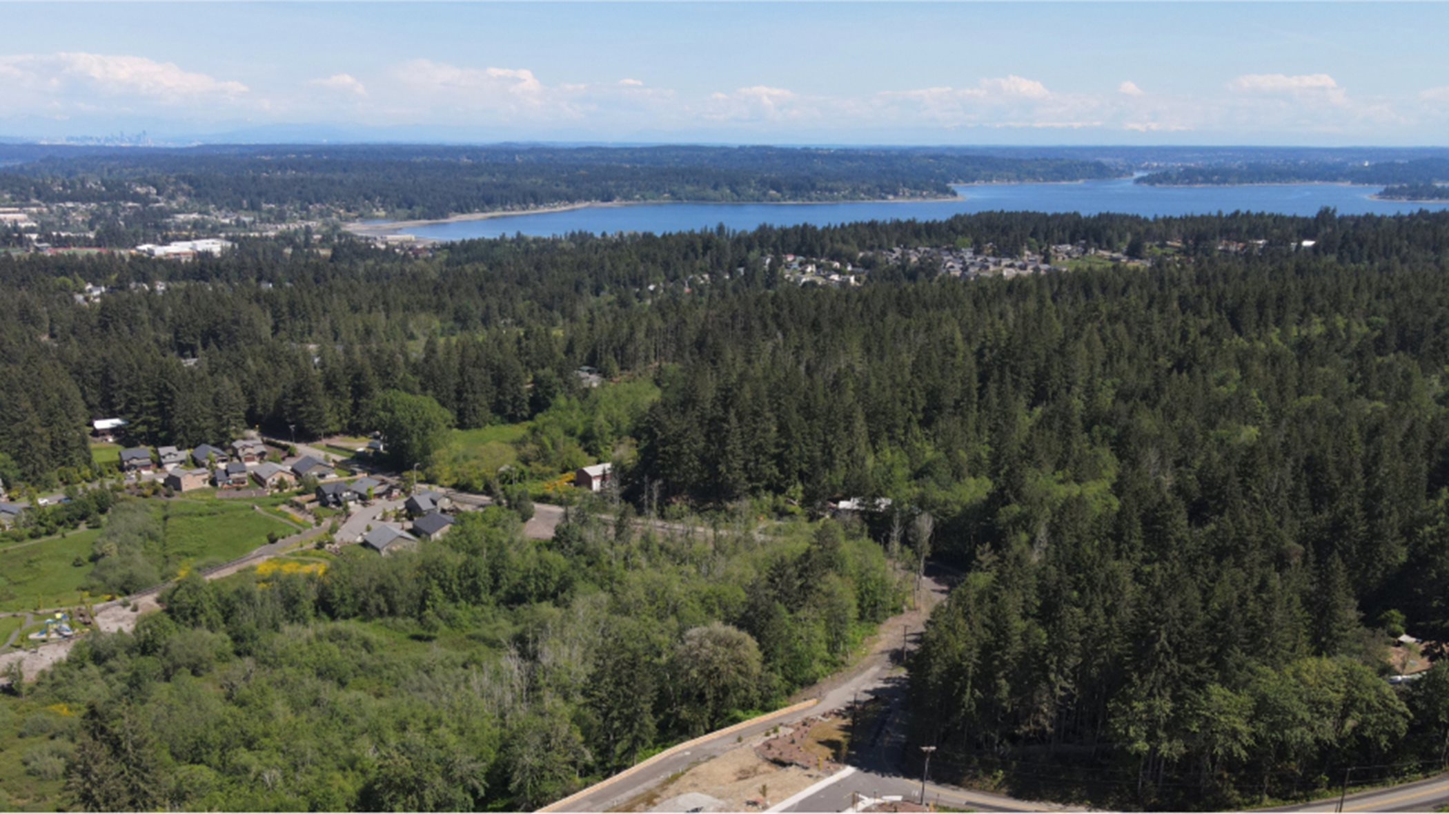 Aerial view of the community with lots of evergreen trees