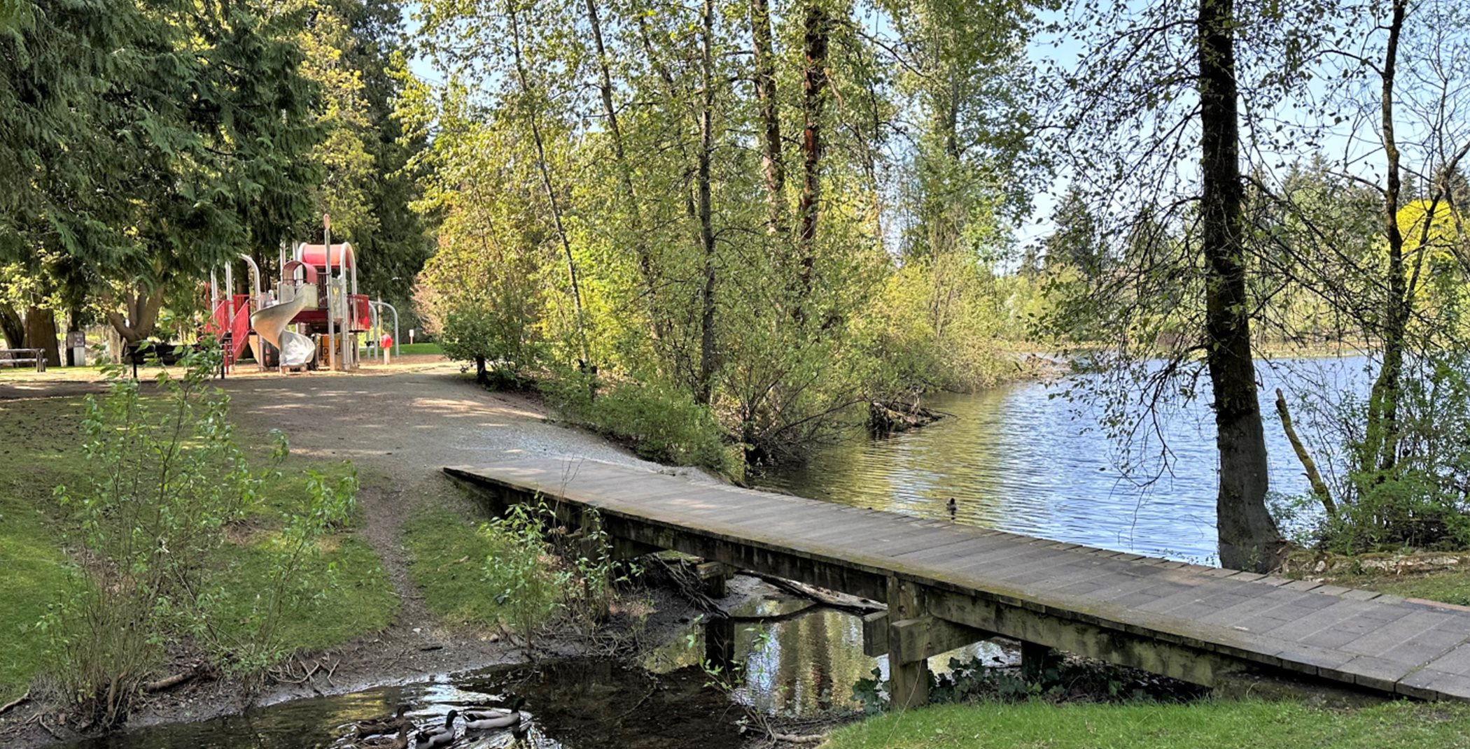 Walking bridge in Arbor Lake Park