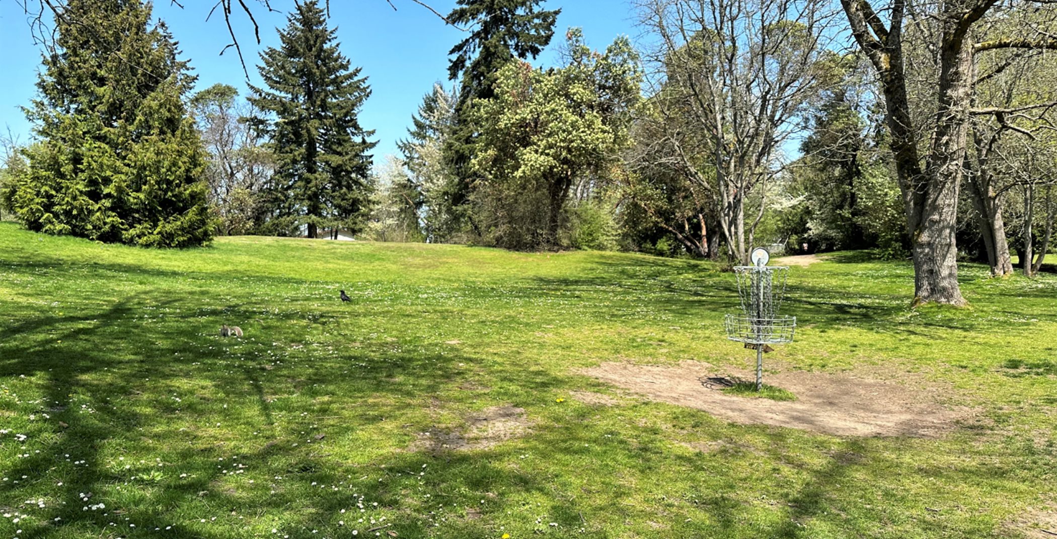 Lakewood King County Disc Golf Club grass and trees