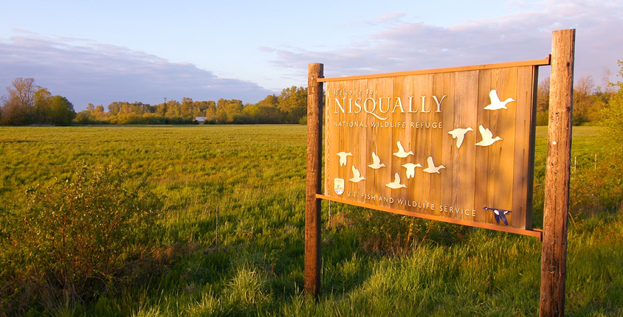 Nisqually Wildlife Sign in a grass field