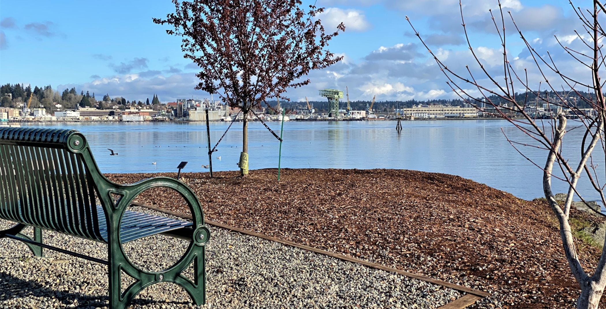 Bench overlooking the Puget Sound