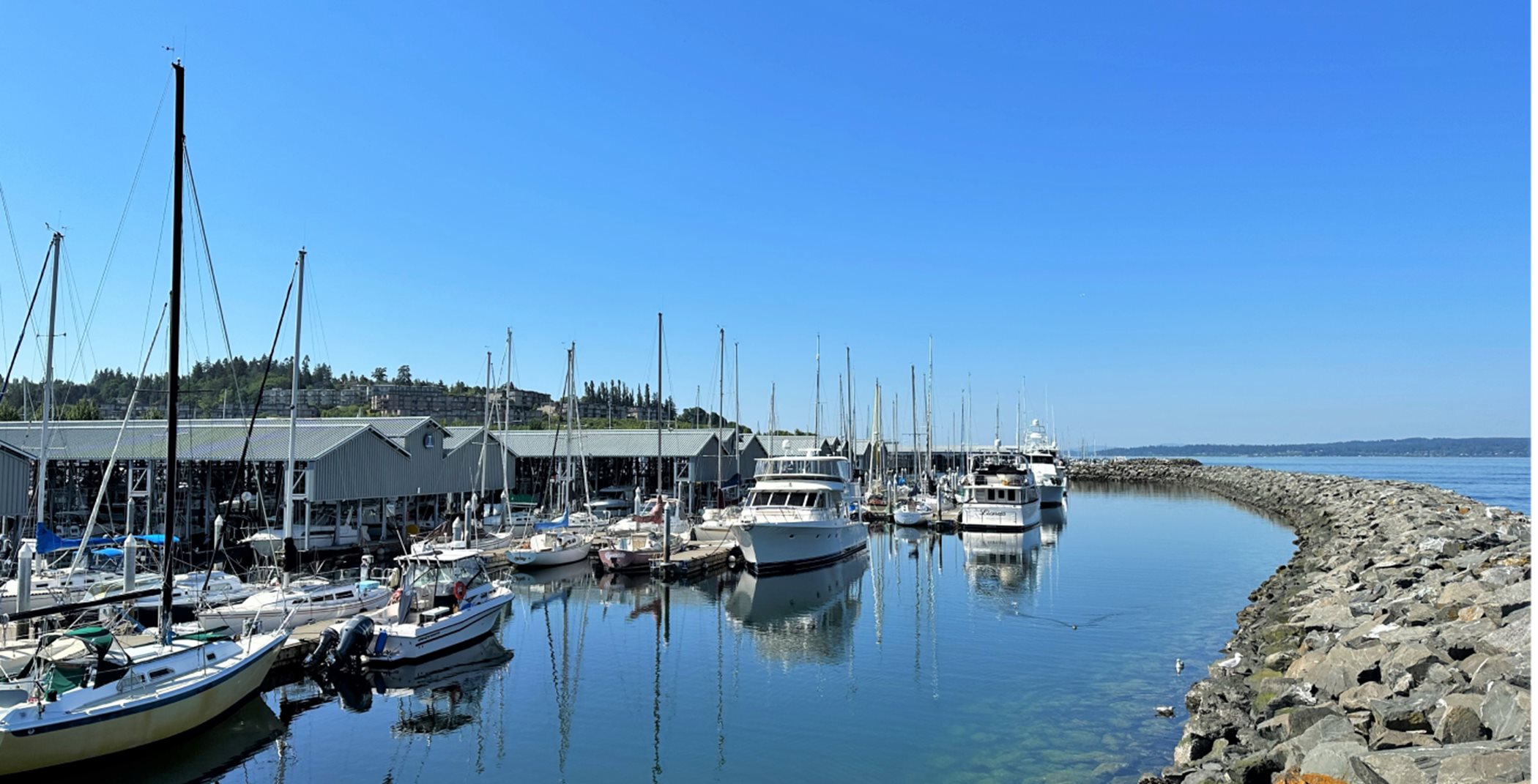 Marina in the Puget Sound with boats docked