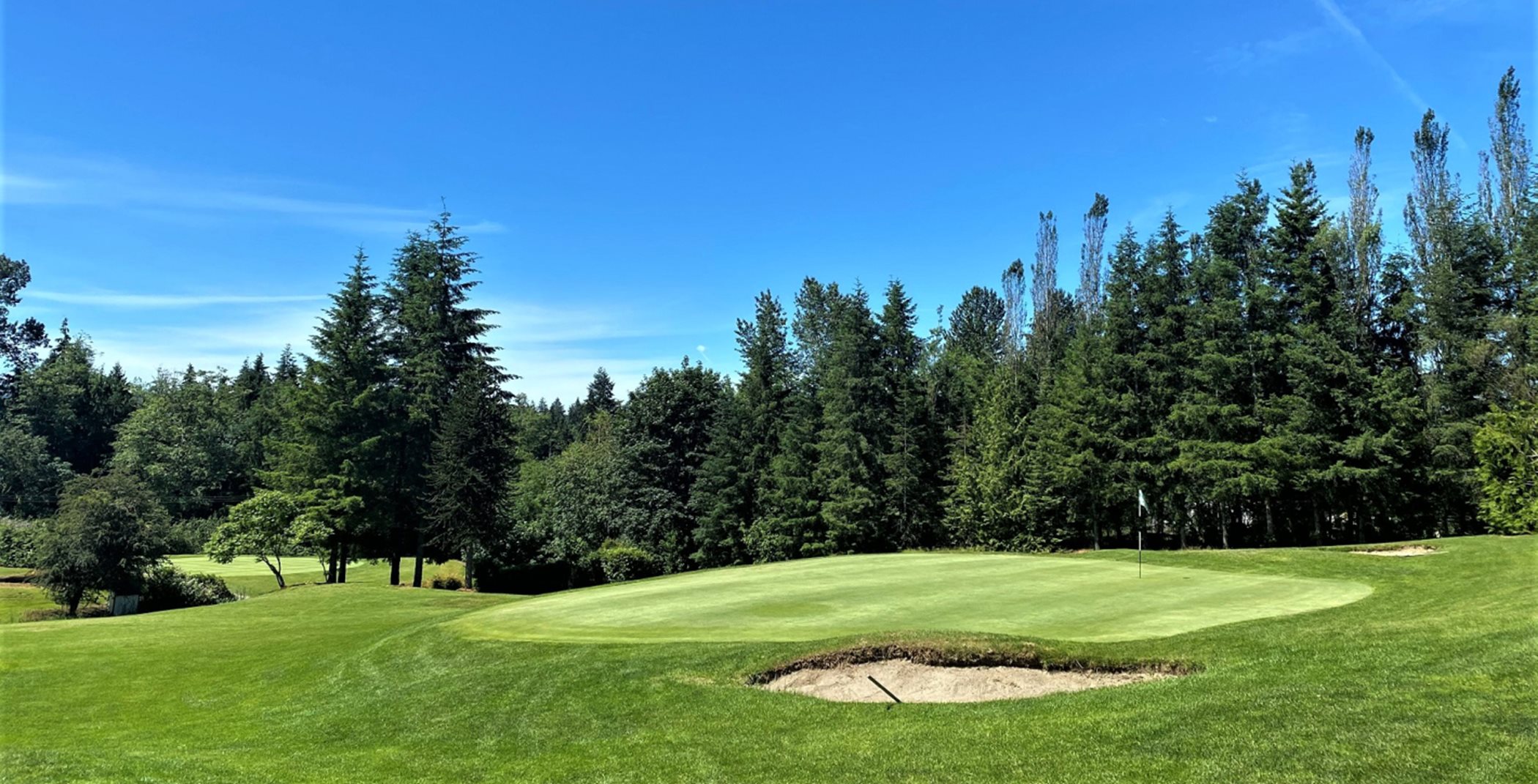 Golf course surrounded by evergreen trees