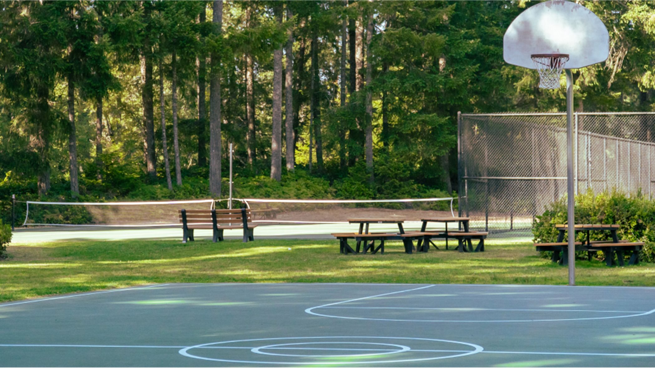 Basketball court surrounded by trees