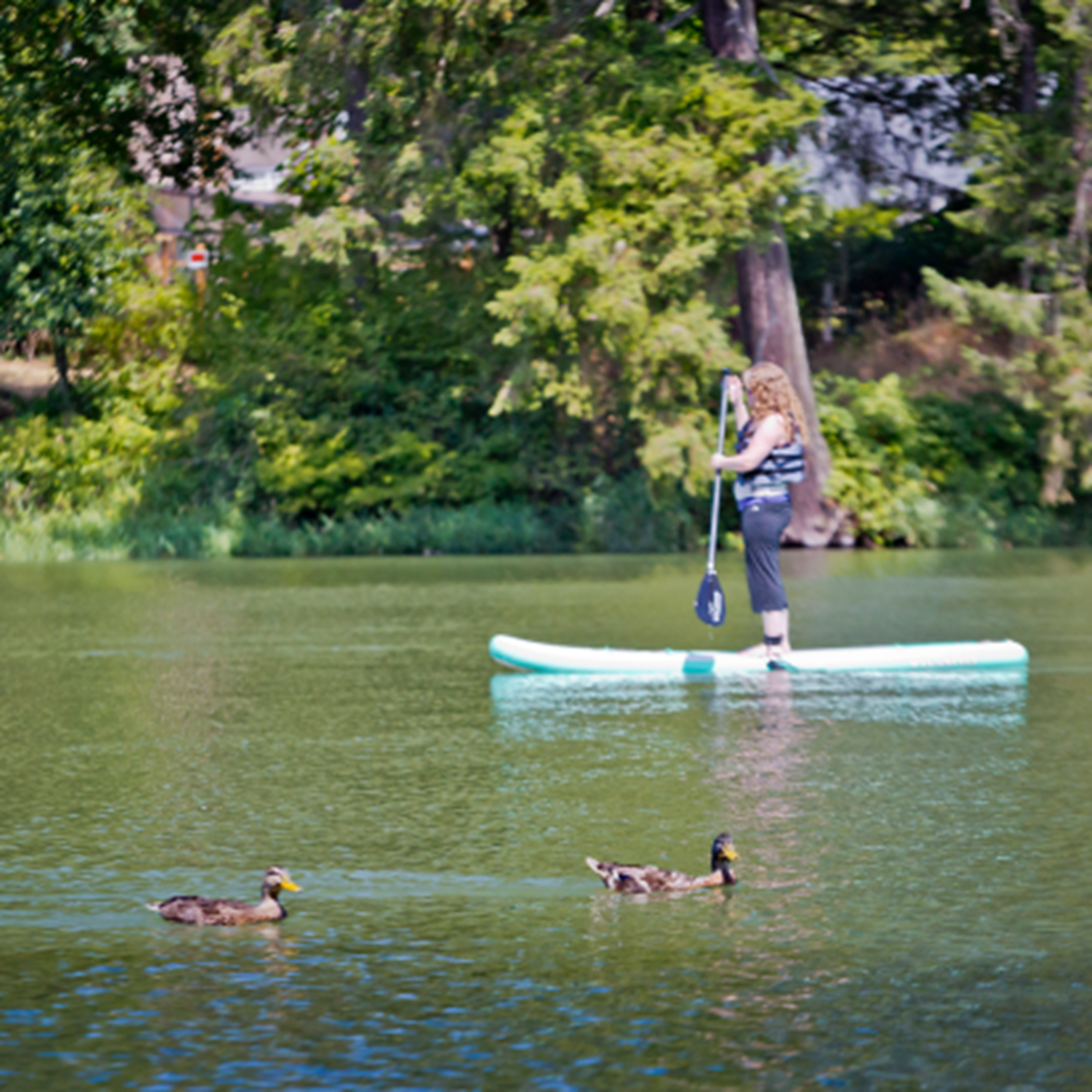 A girl stand-up paddle boarding in Lacamas Lake