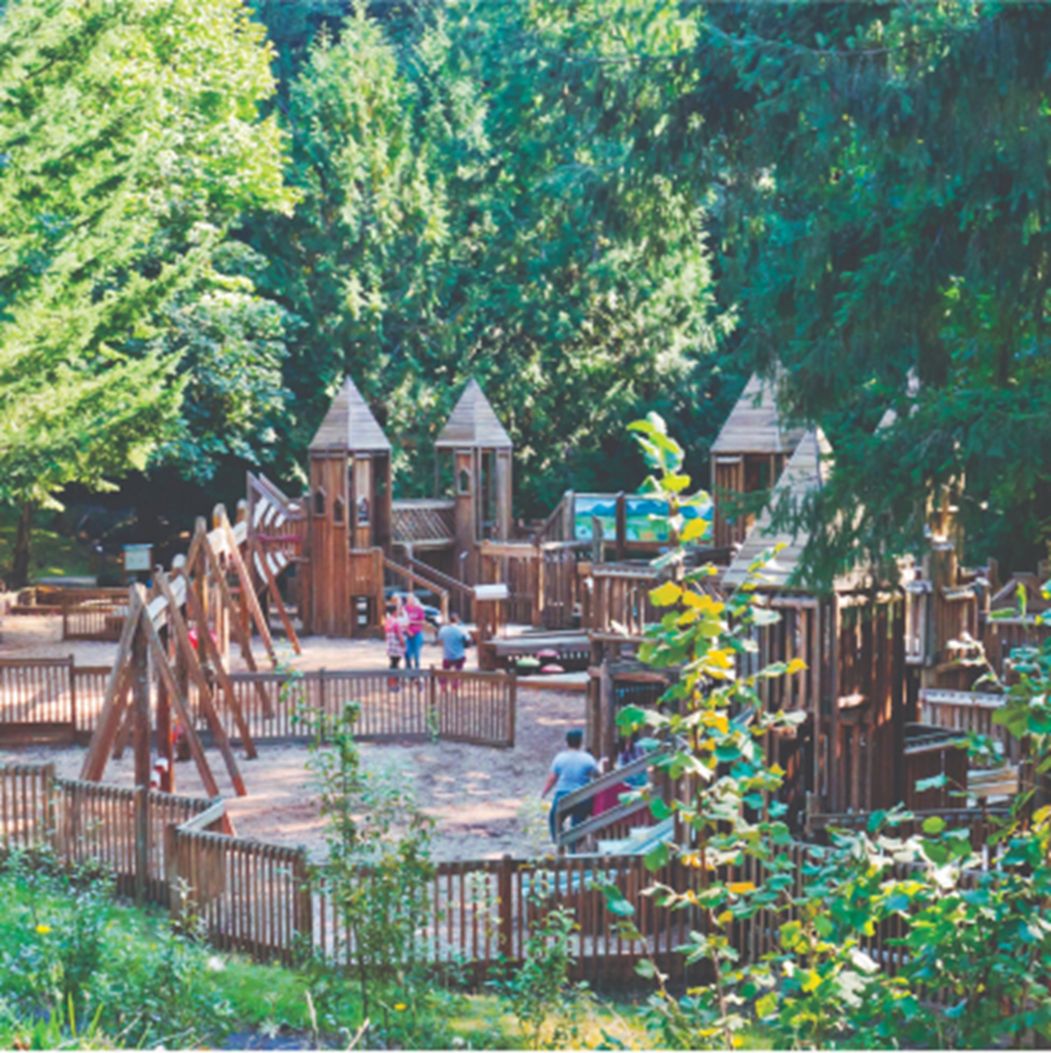 The Fantasy Forest play area