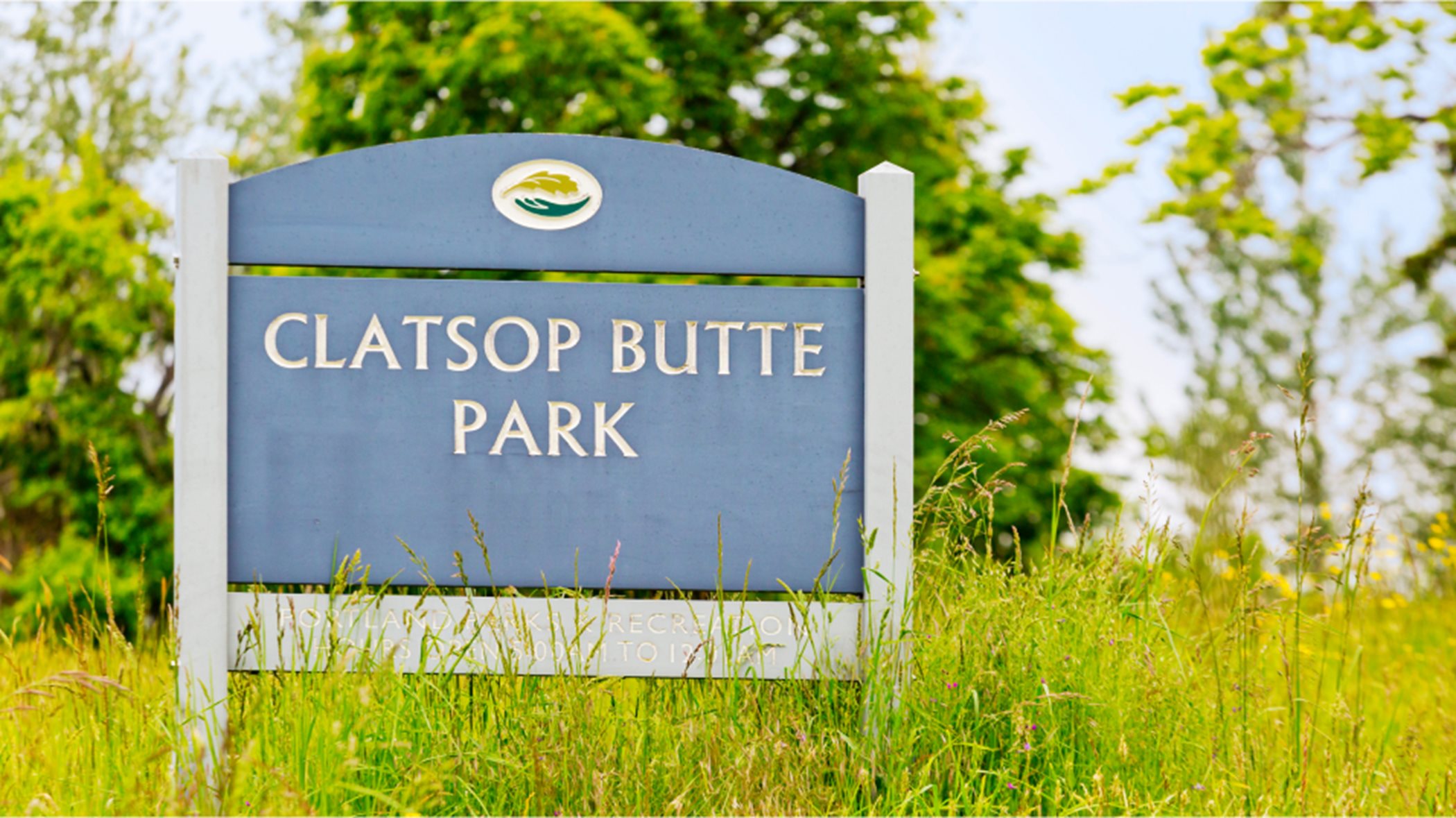 Hawthorne Estates Clatstop Park