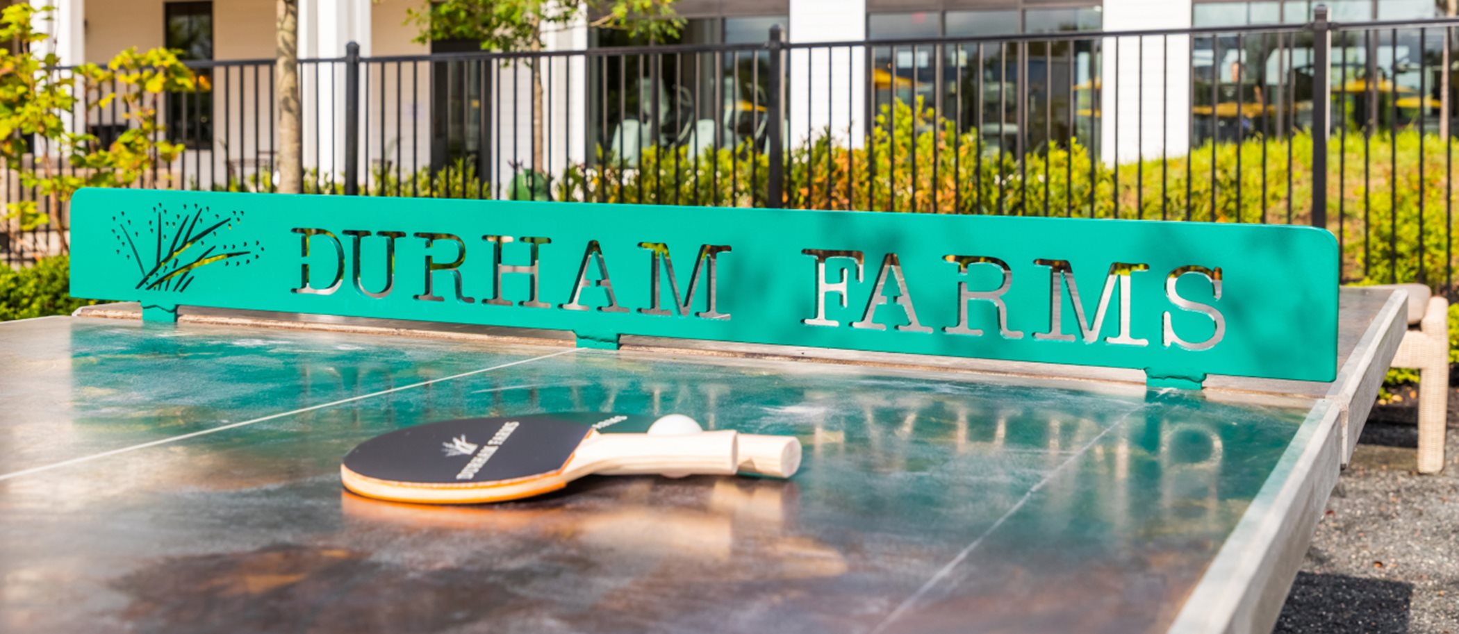 Durham Farms Ping Pong table