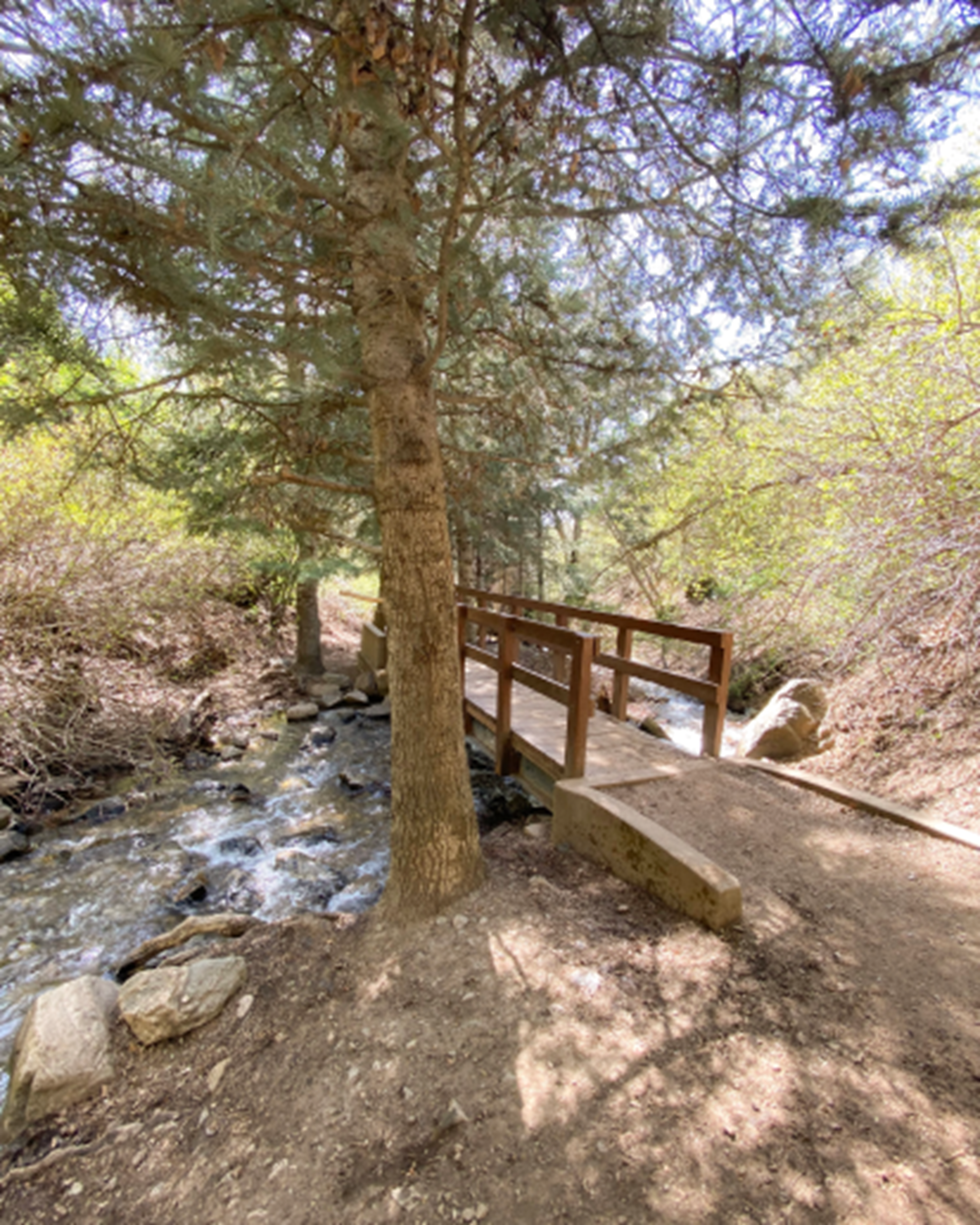 Park trail with small bridge