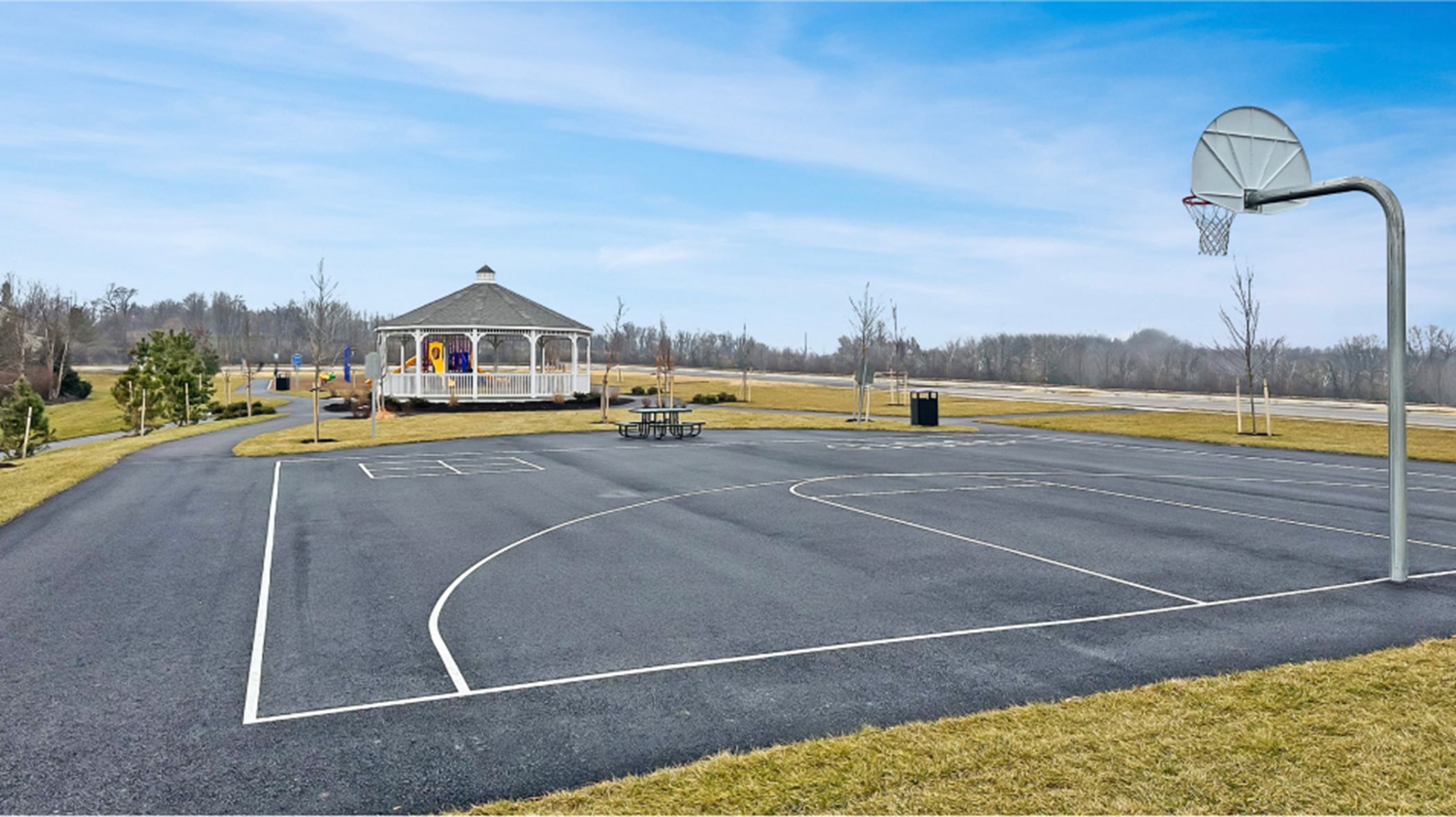 Shenandoah Springs Amenity Basketball Court