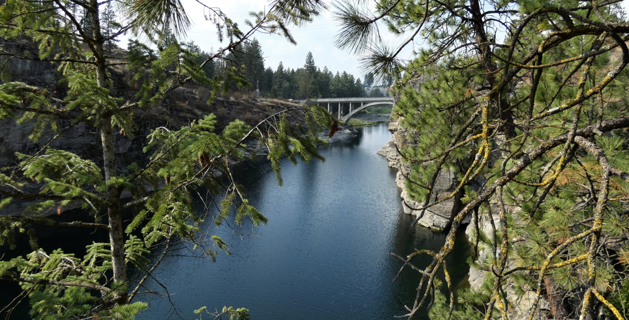 Spokane river surrounded by trees and greenery