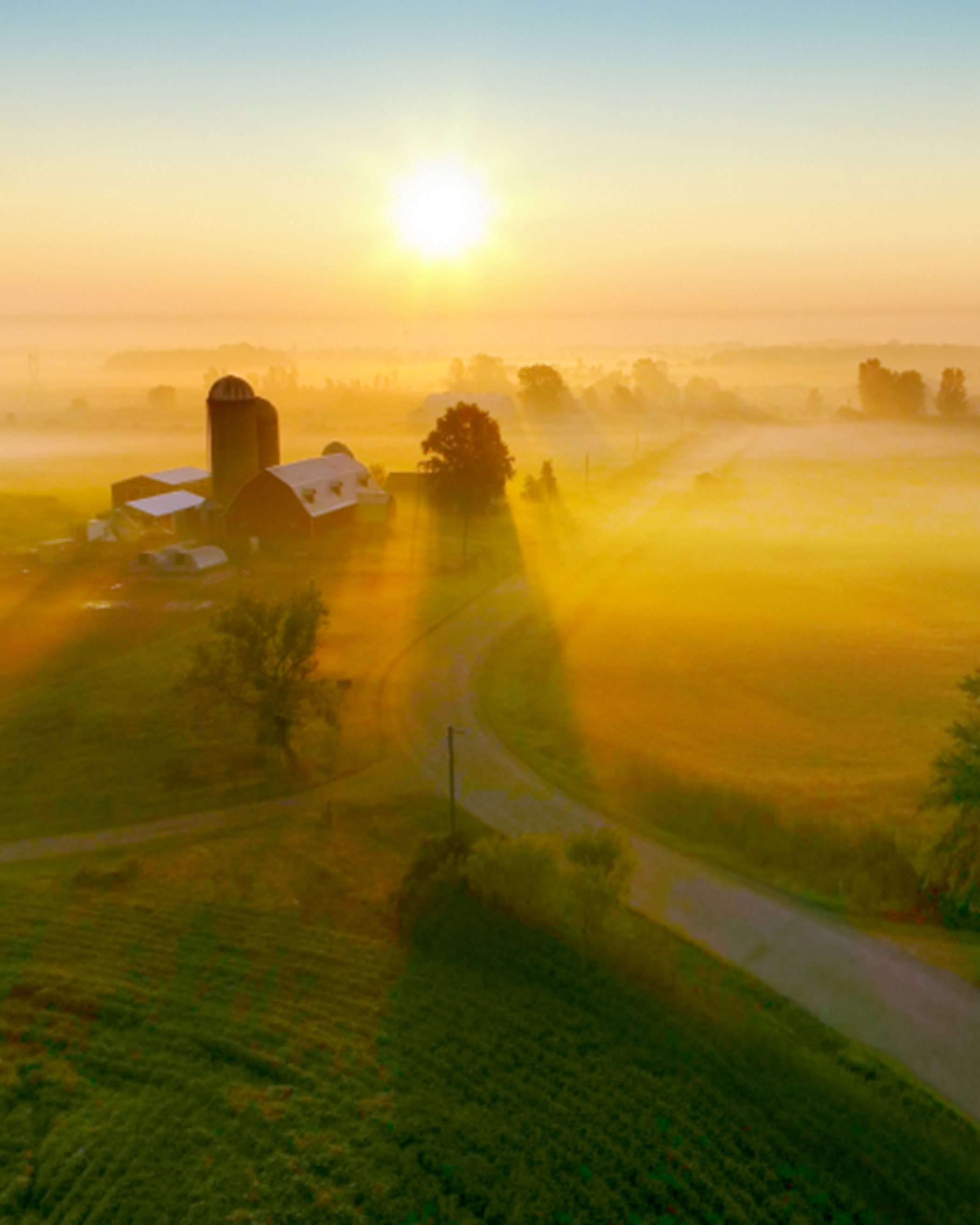 Farmland and Morning Mist in Wisconsin