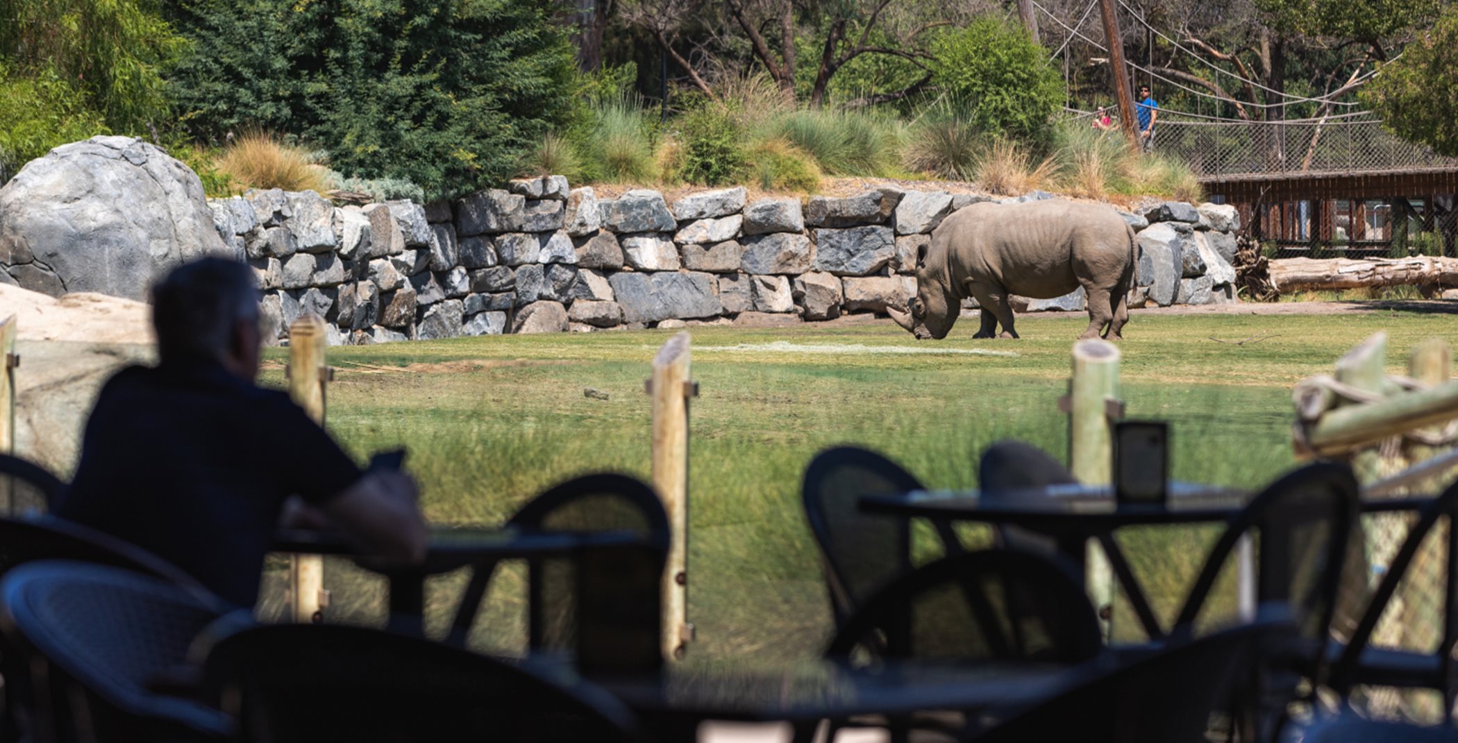 Fresno Chaffee Zoo seating area overlooking rhino habitat