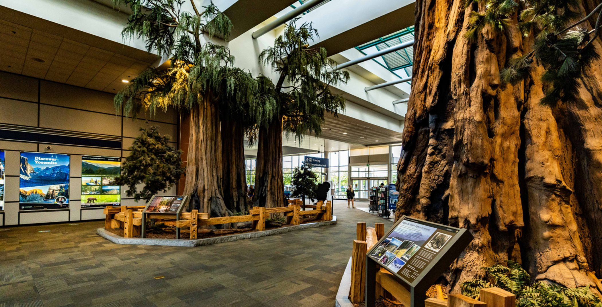 Fresno-Yosemite Airport interior with sequoia trees