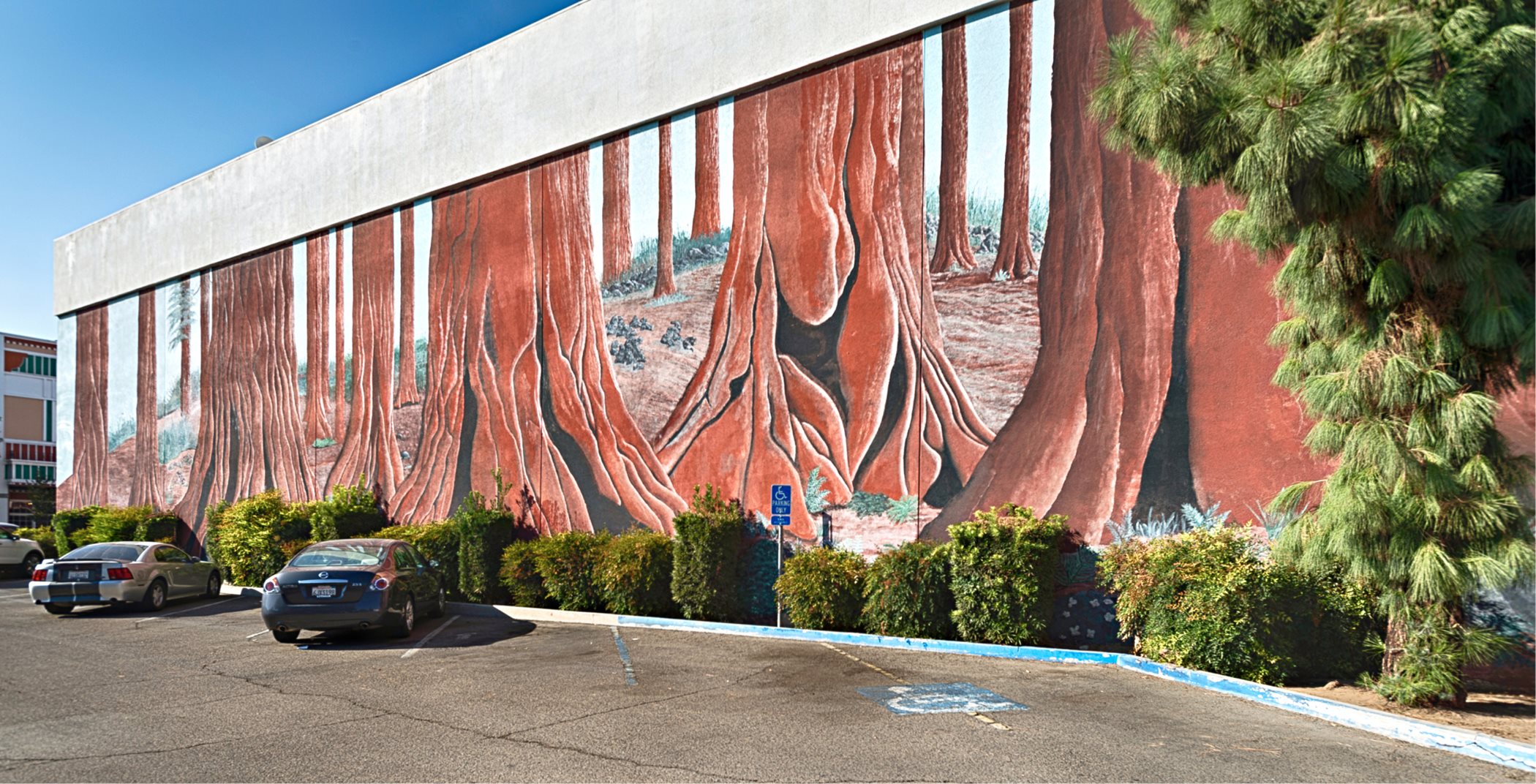 mural depicts the Giant Sequioas