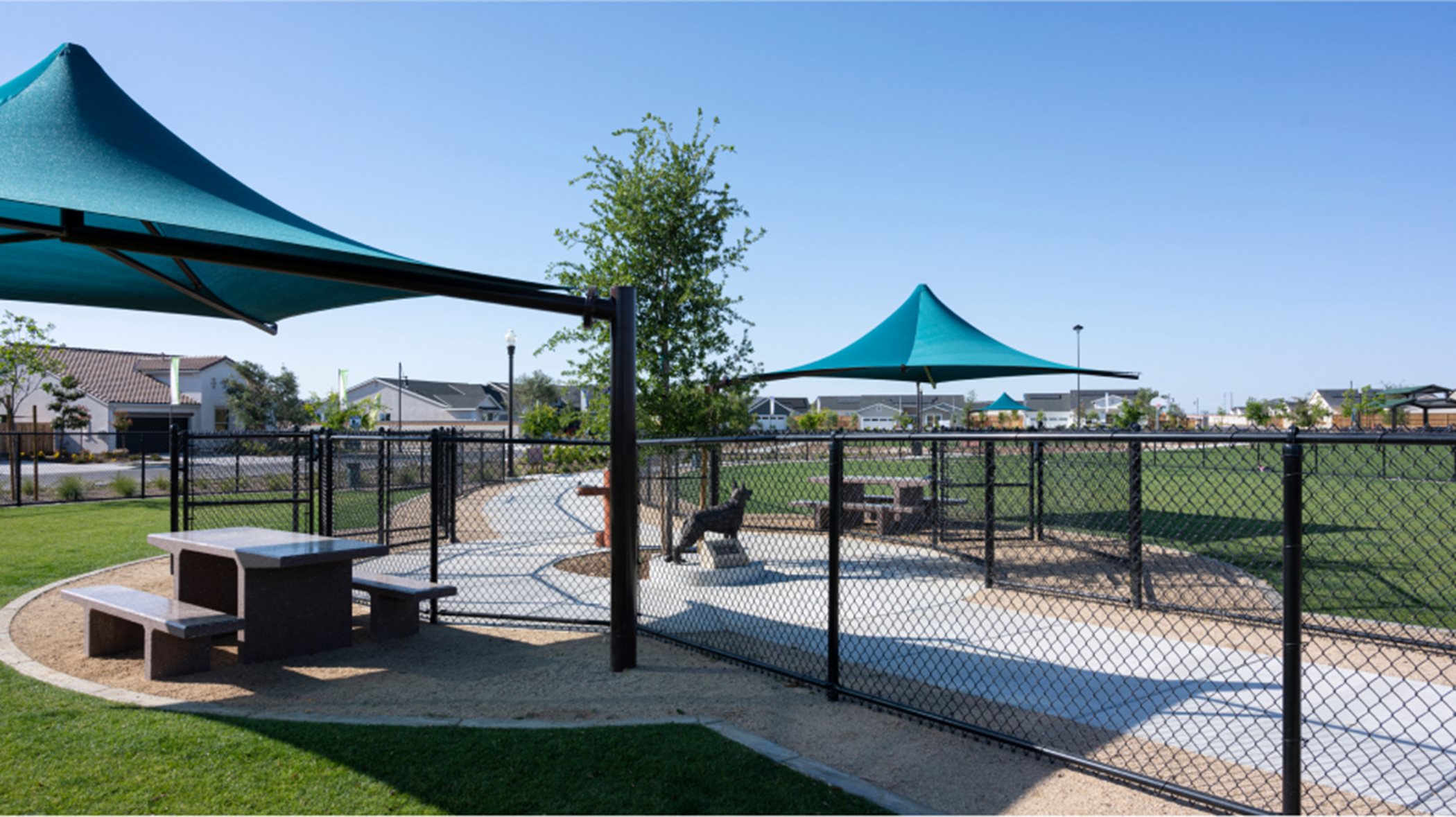 shaded dog park with grass