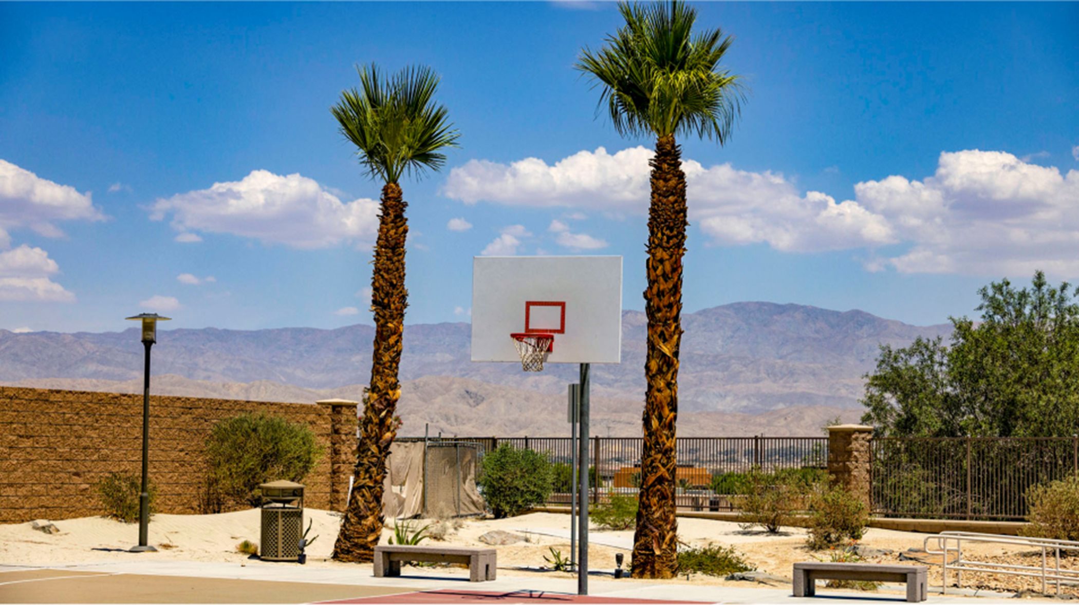 Basketball hoop with a palm tree on either side
